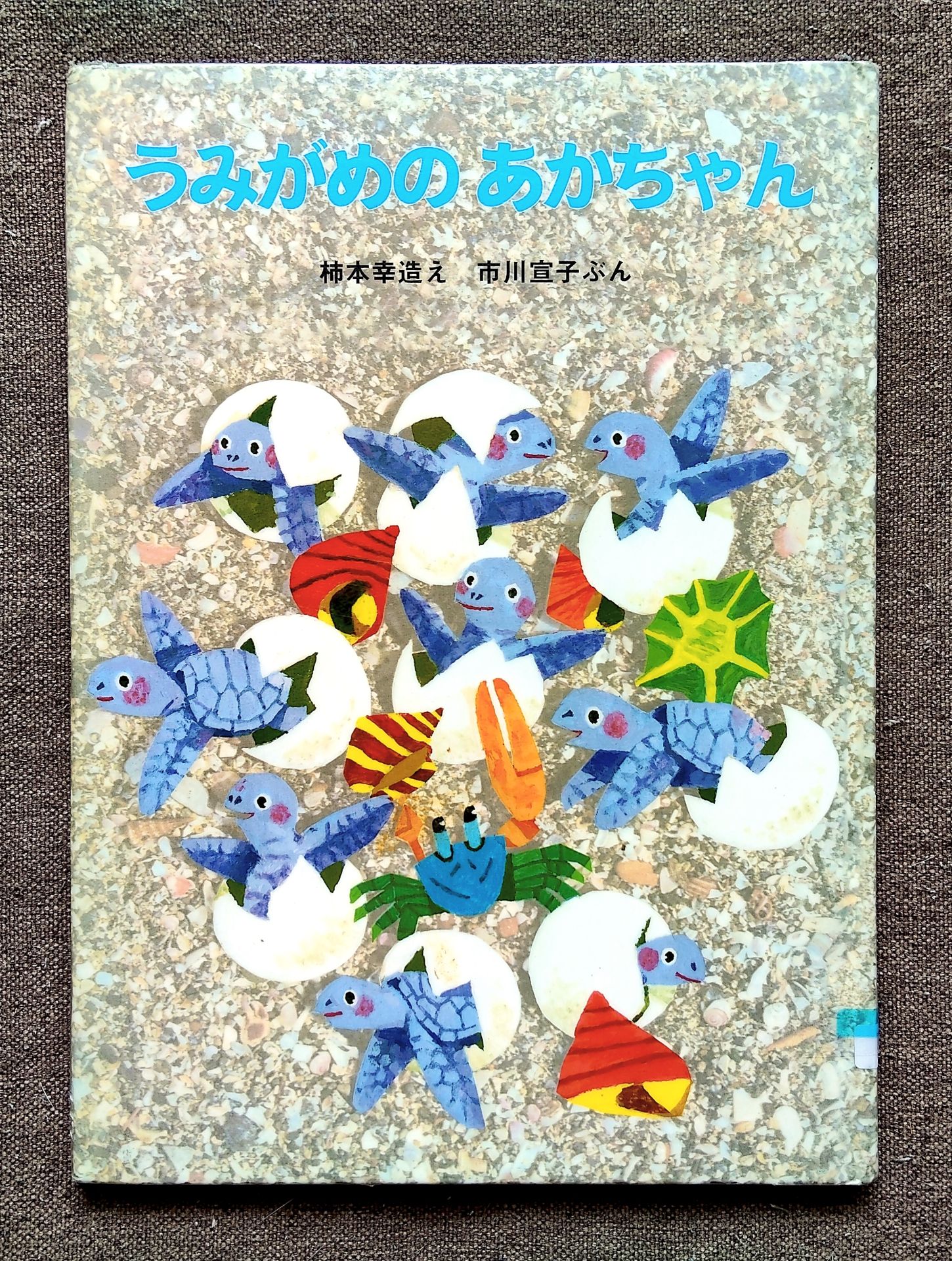 うみがめのあかちゃん