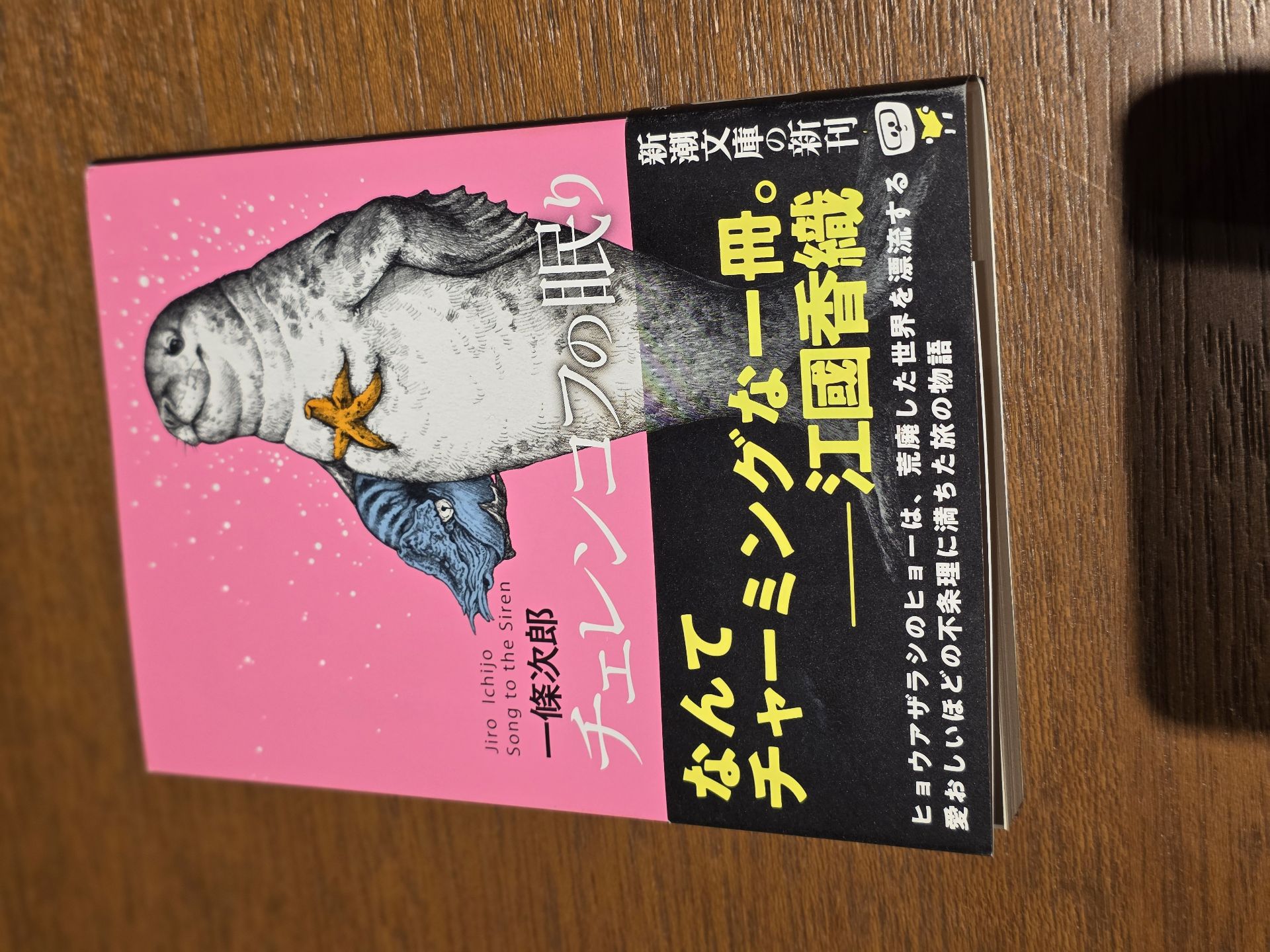 チェレンコフの眠り