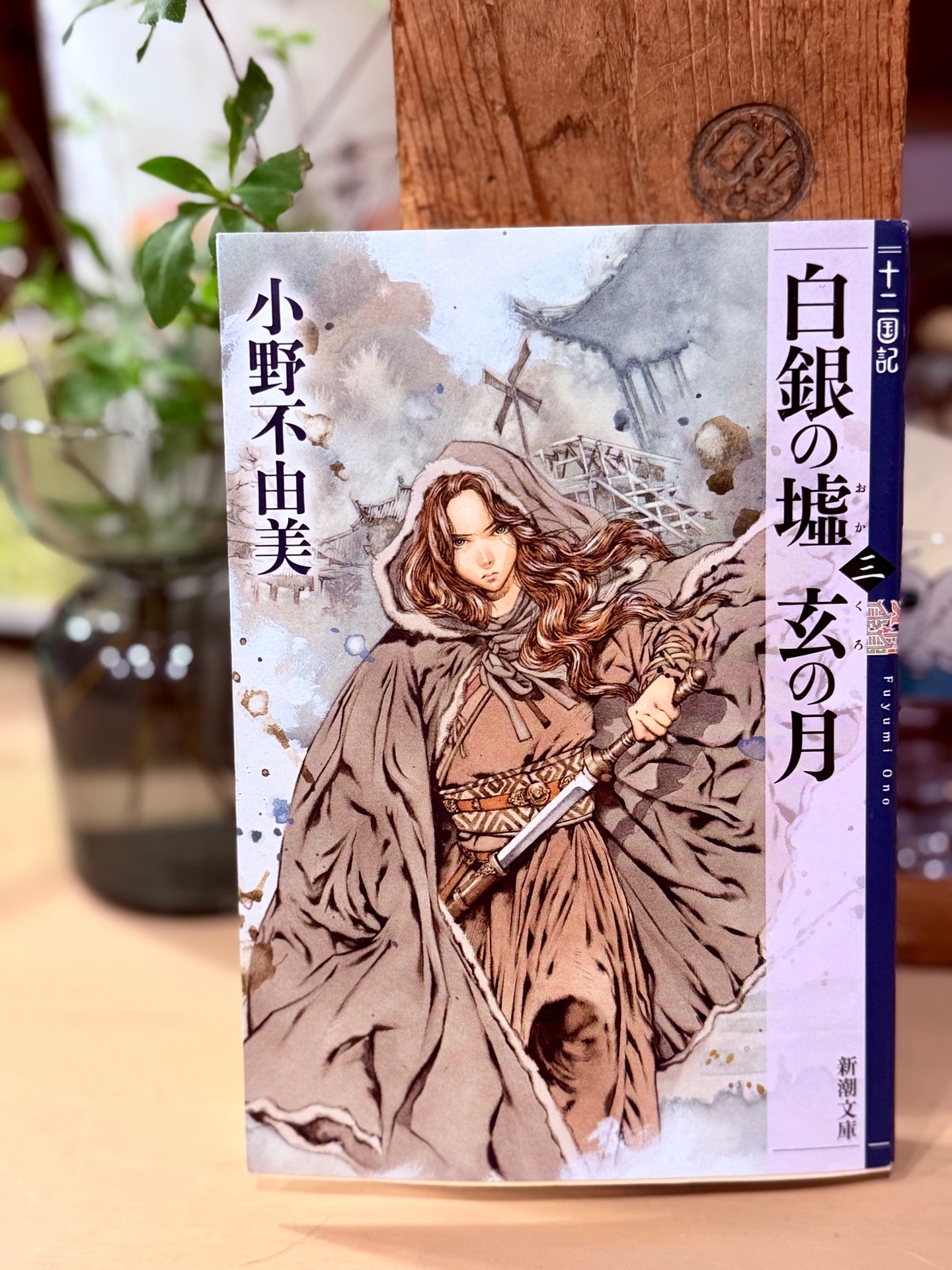 白銀の墟 玄の月 第三巻 十二国記