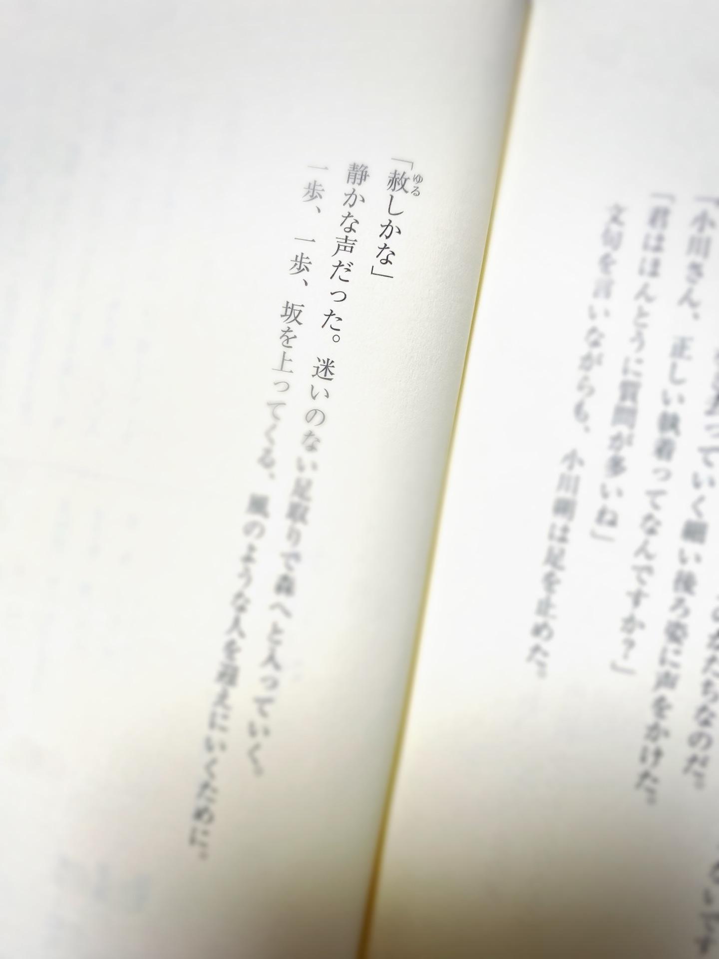 赤い月の香り