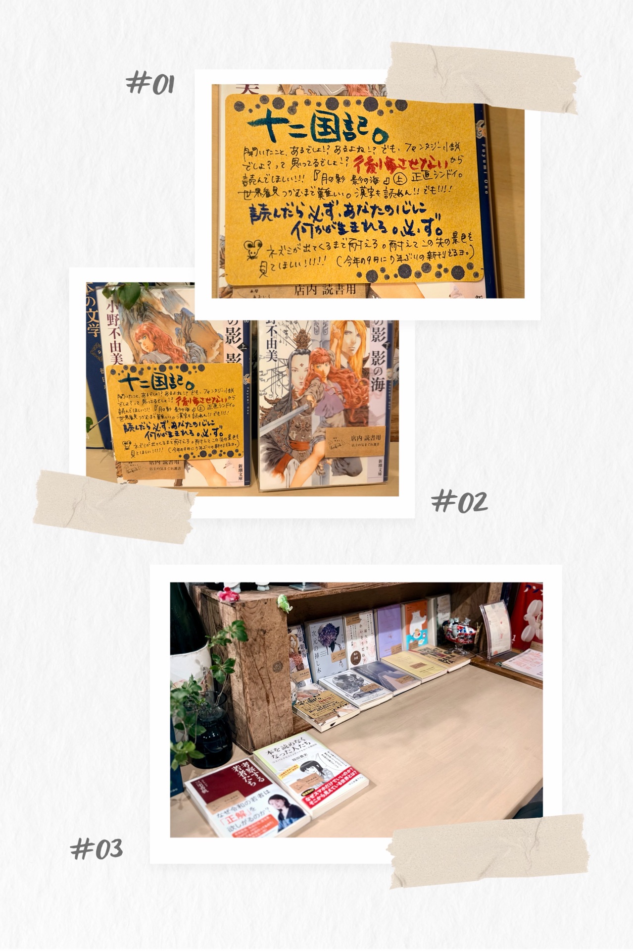 白銀の墟 玄の月 第二巻 十二国記