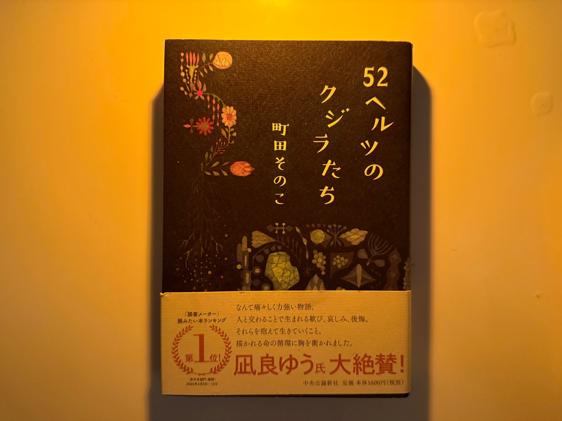 52ヘルツのクジラたち