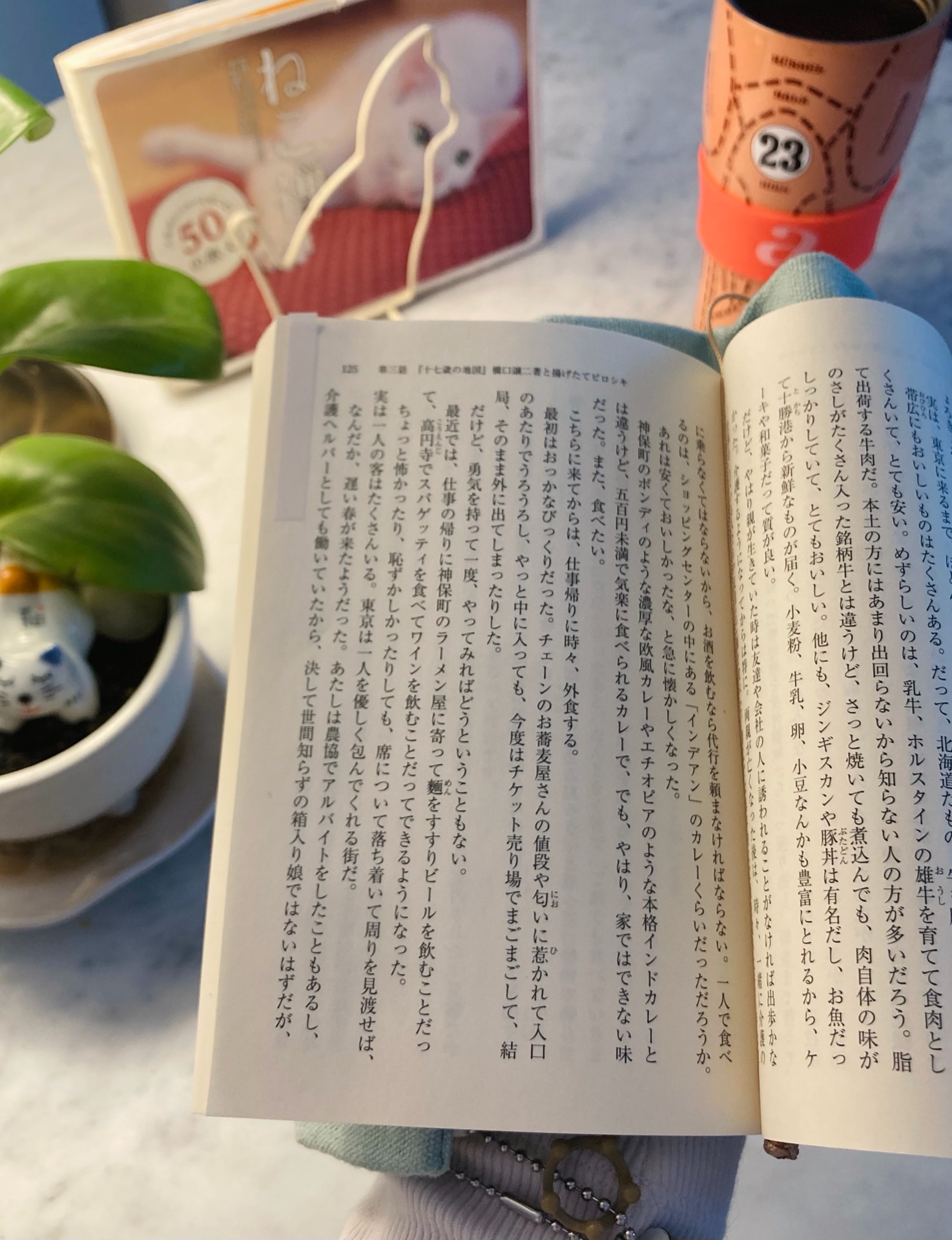 古本食堂
