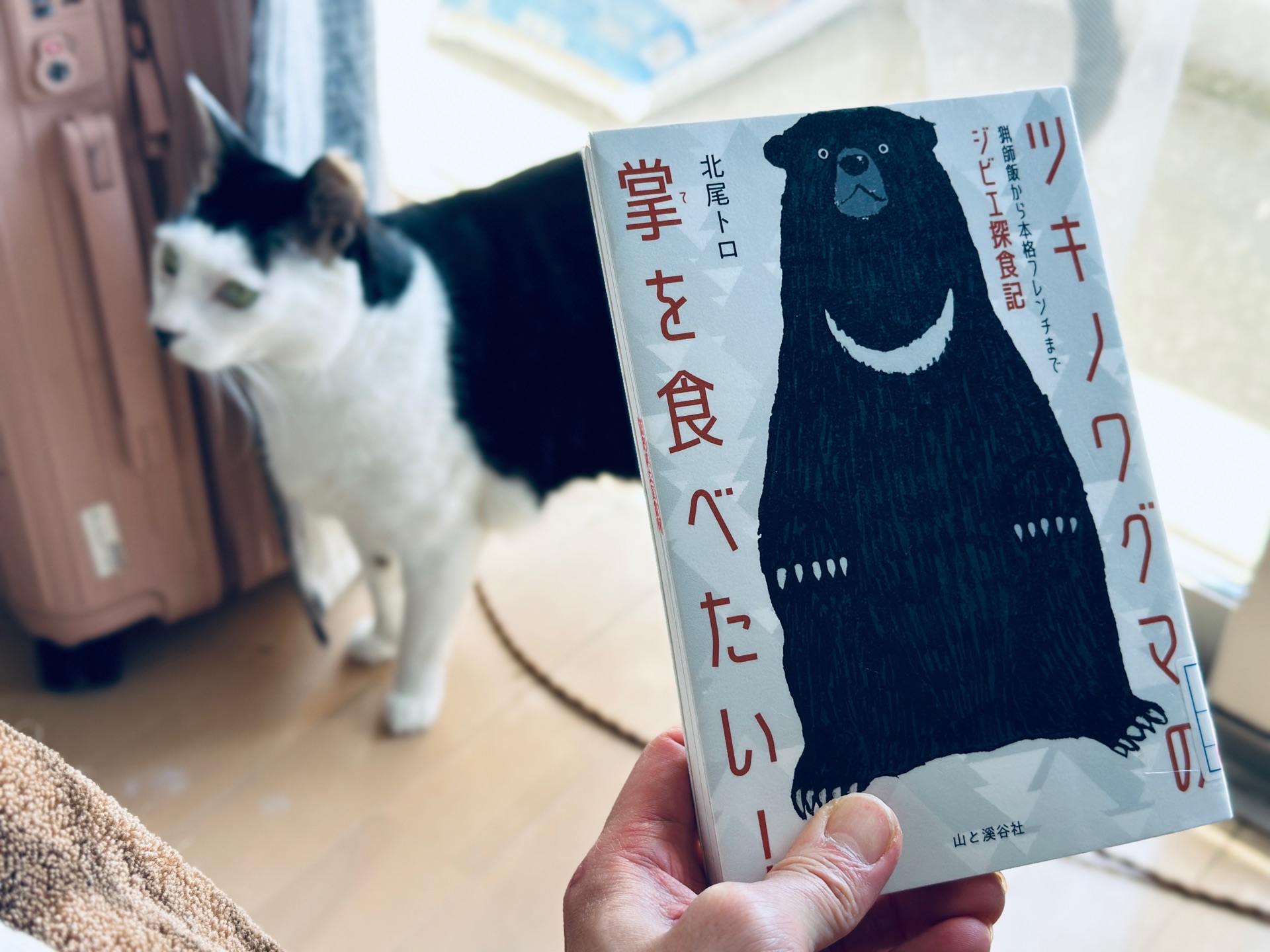 ツキノワグマの掌を食べたい! 猟師飯から本格フレンチまでジビエ探食記