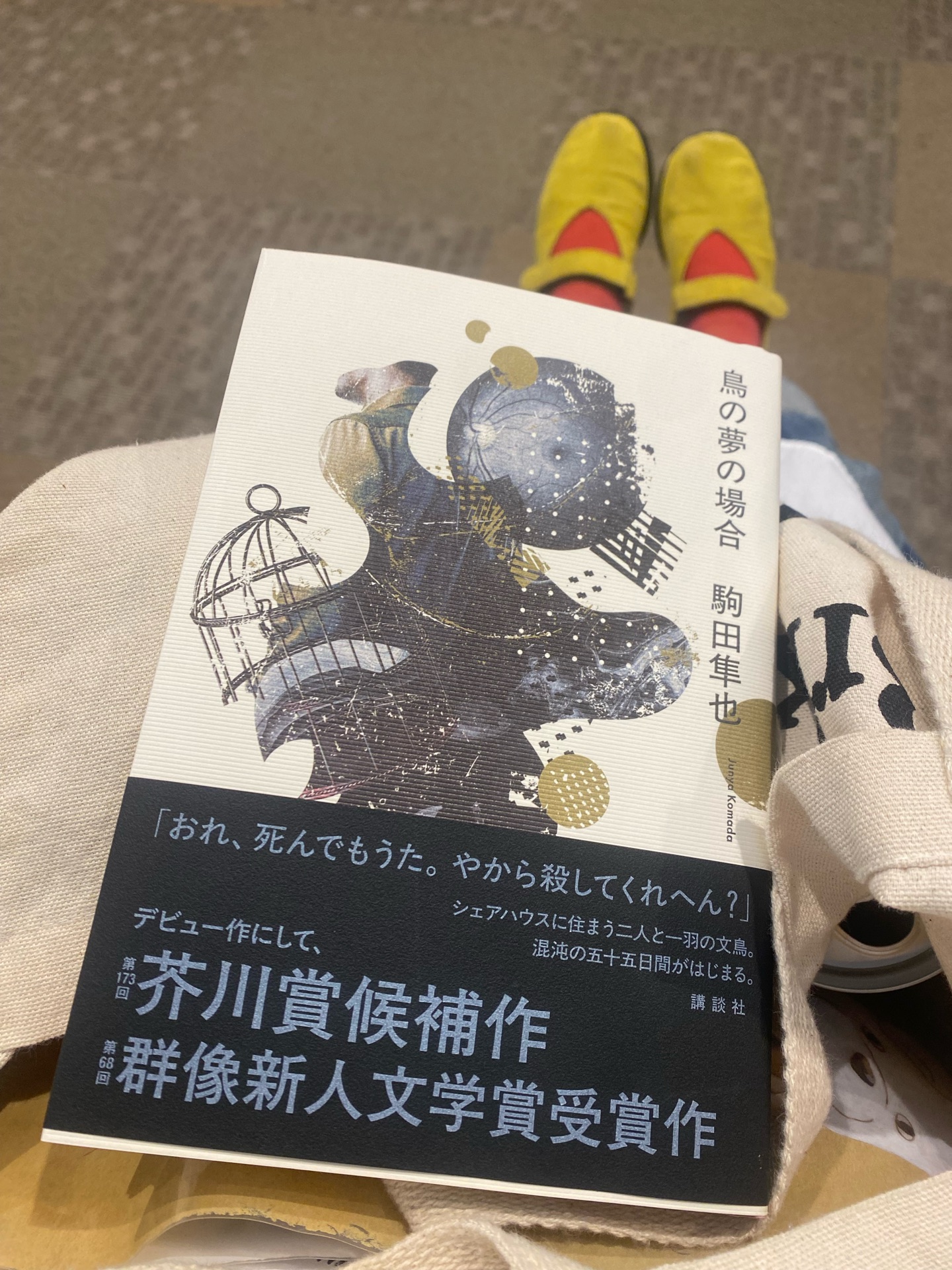 鳥の夢の場合