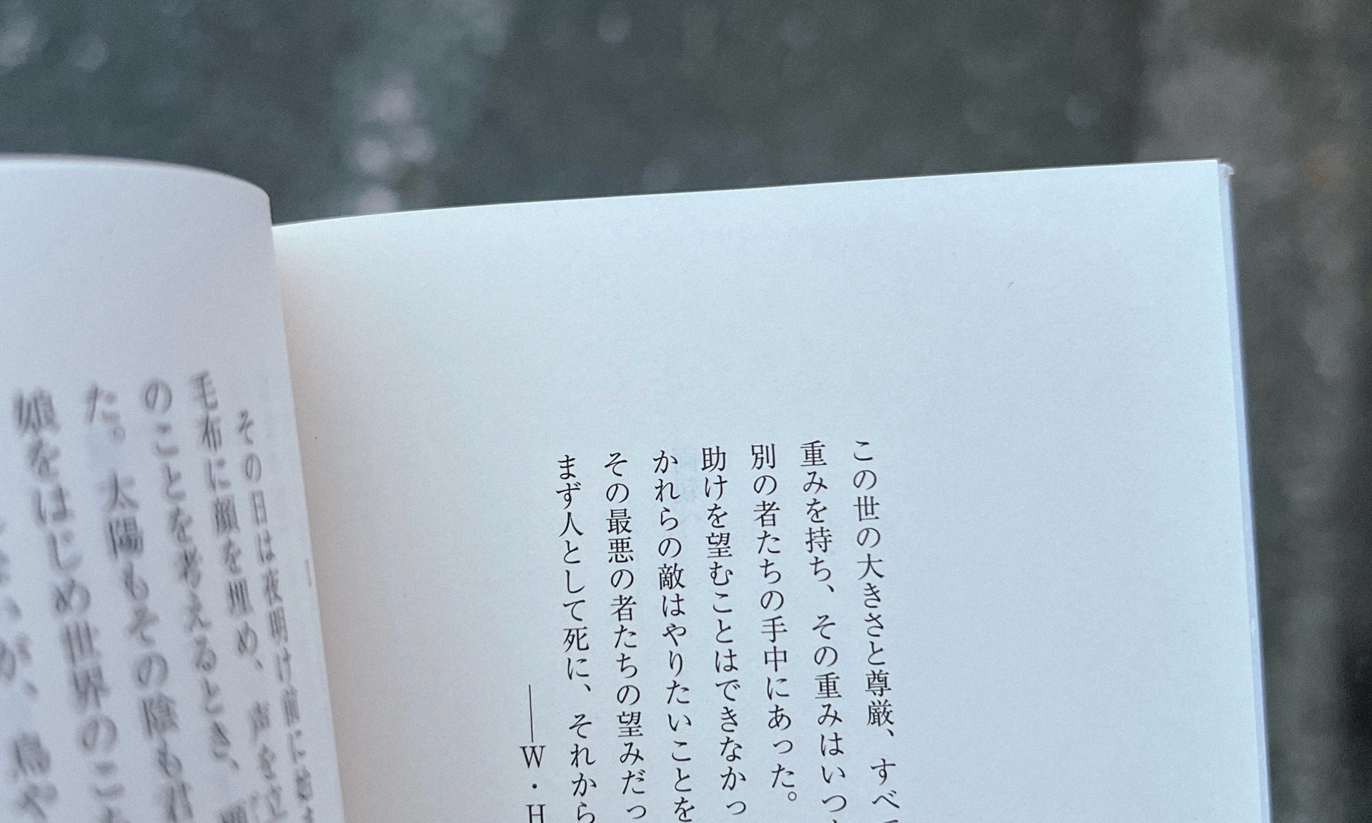 さすらう者たち