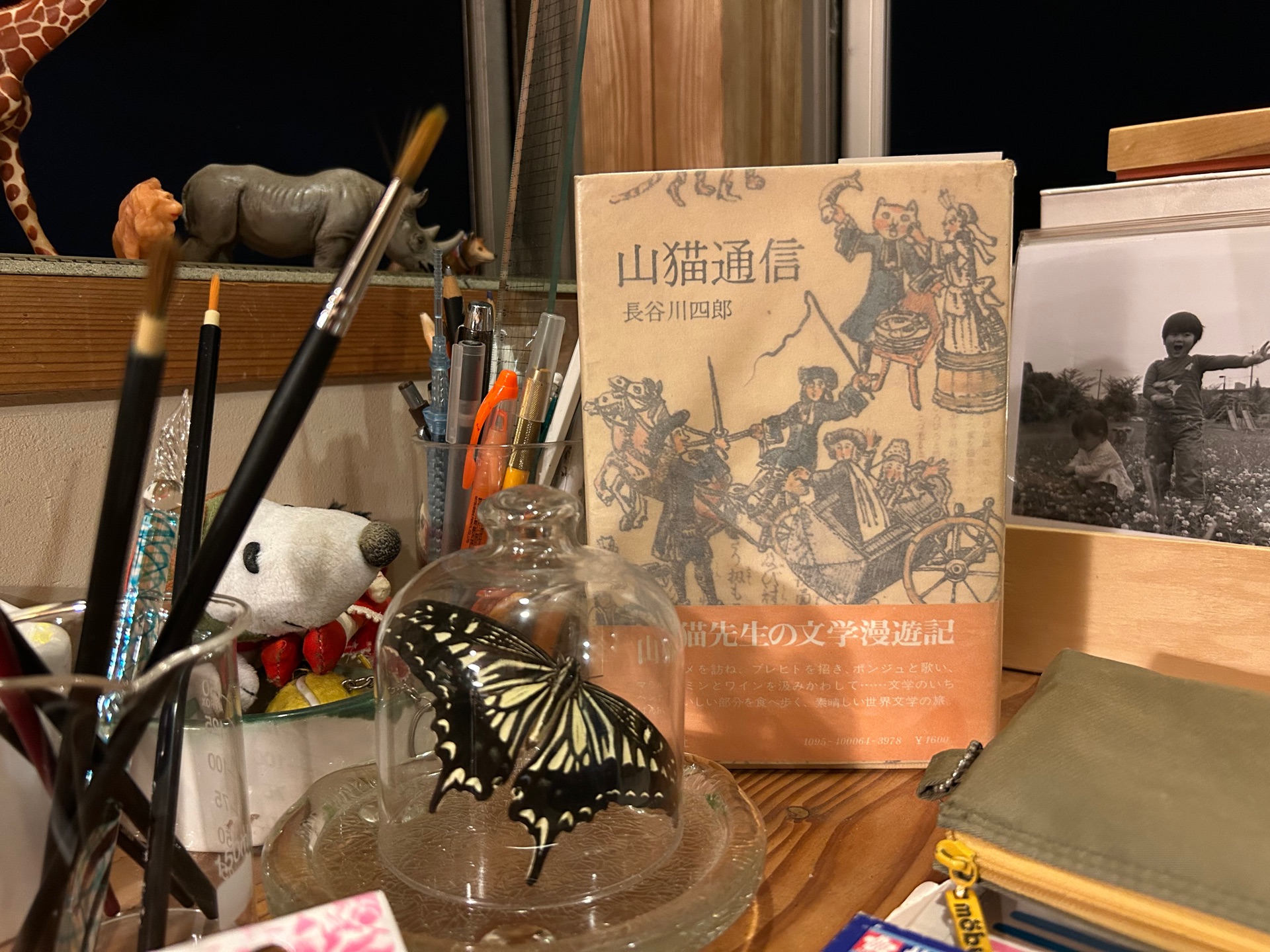 山猫通信