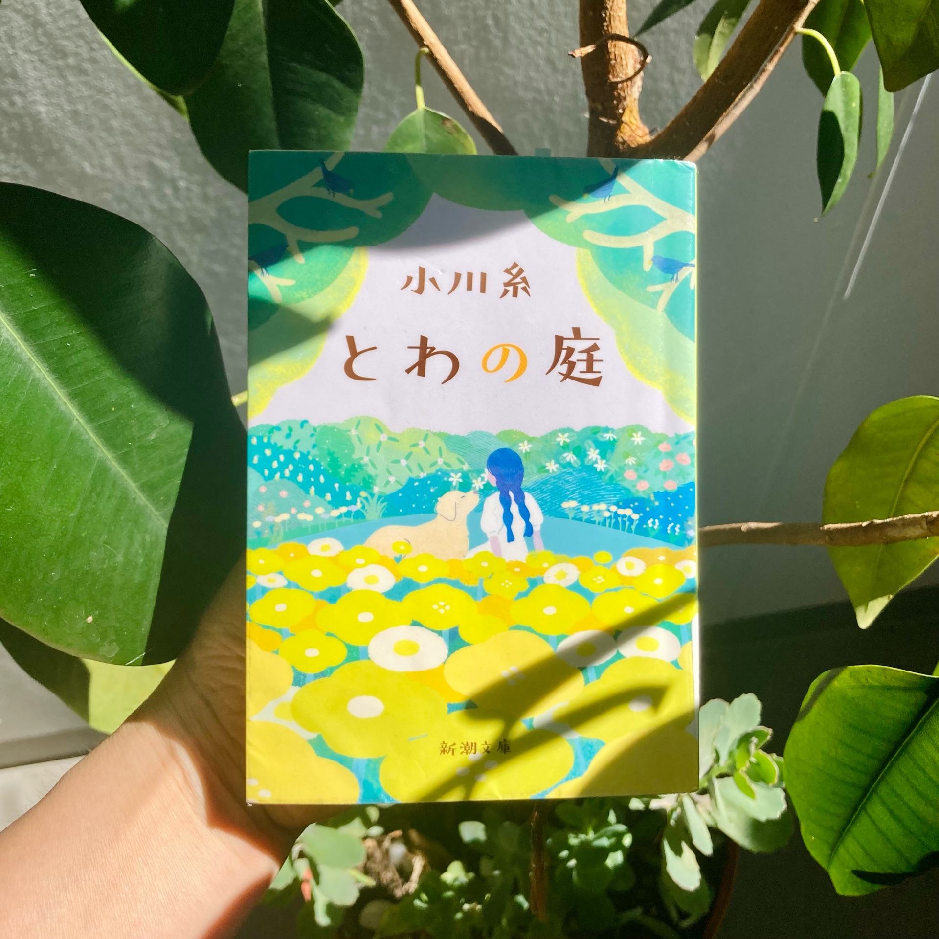 とわの庭