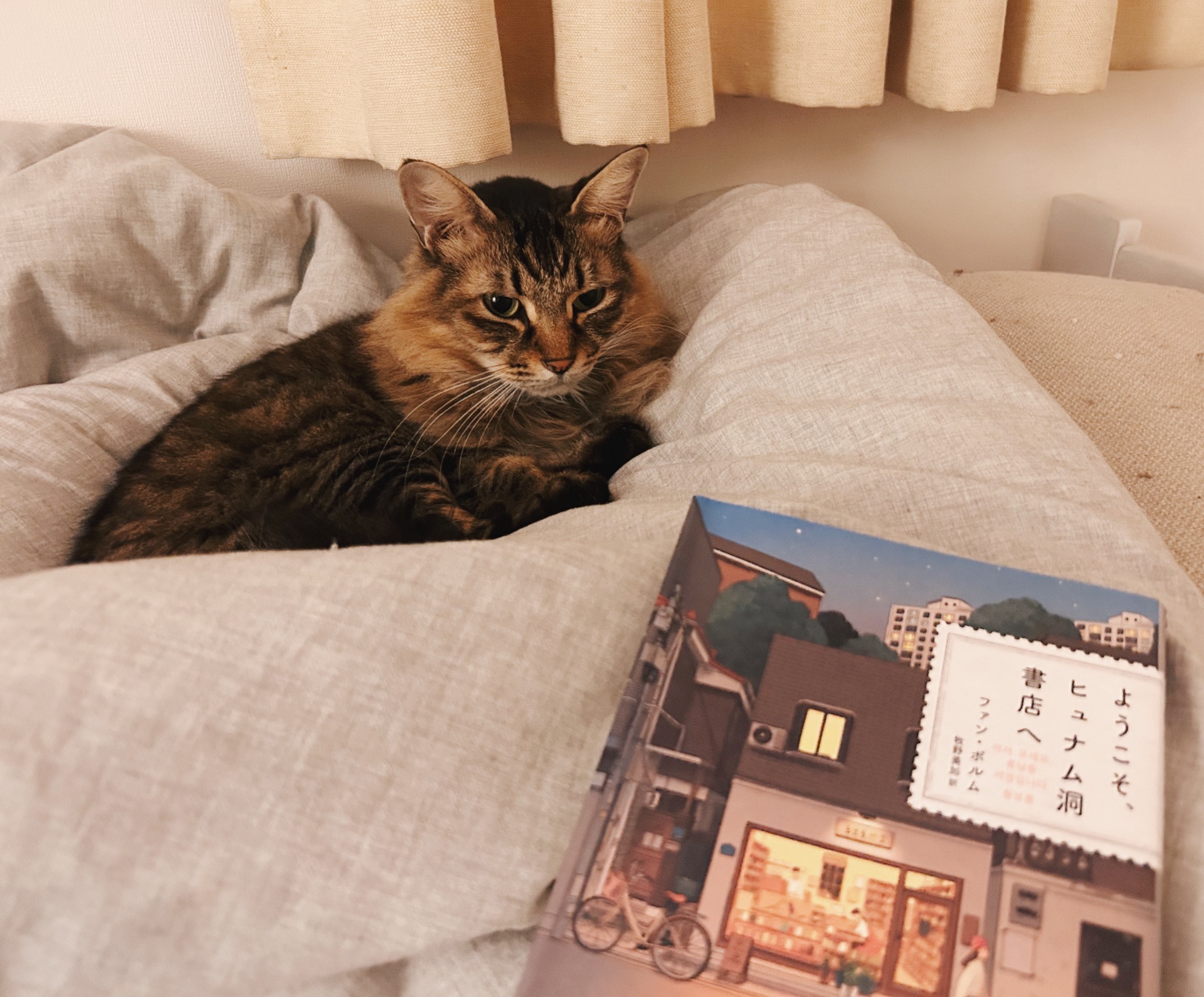 ようこそ、ヒュナム洞書店へ