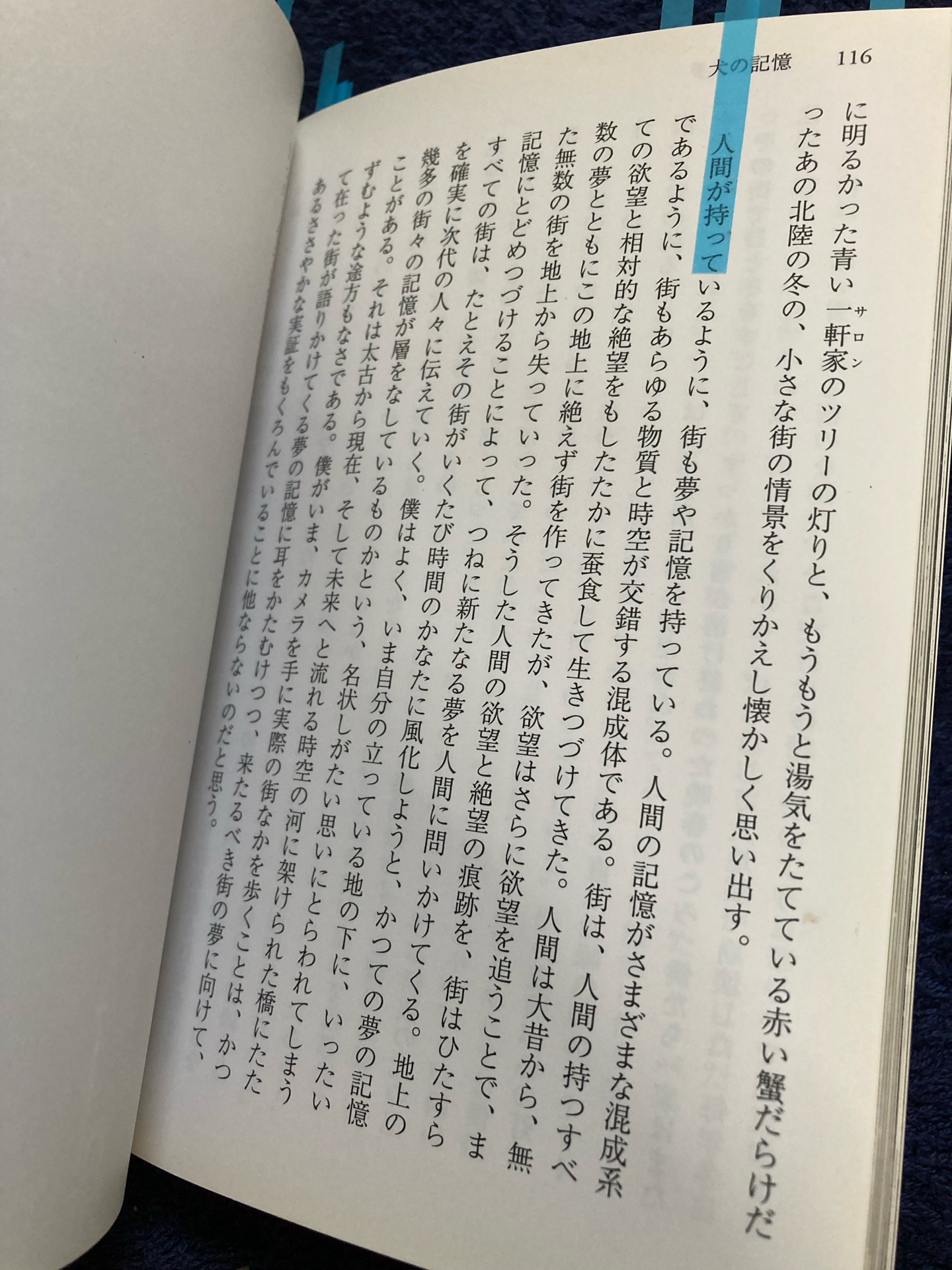 犬の記憶