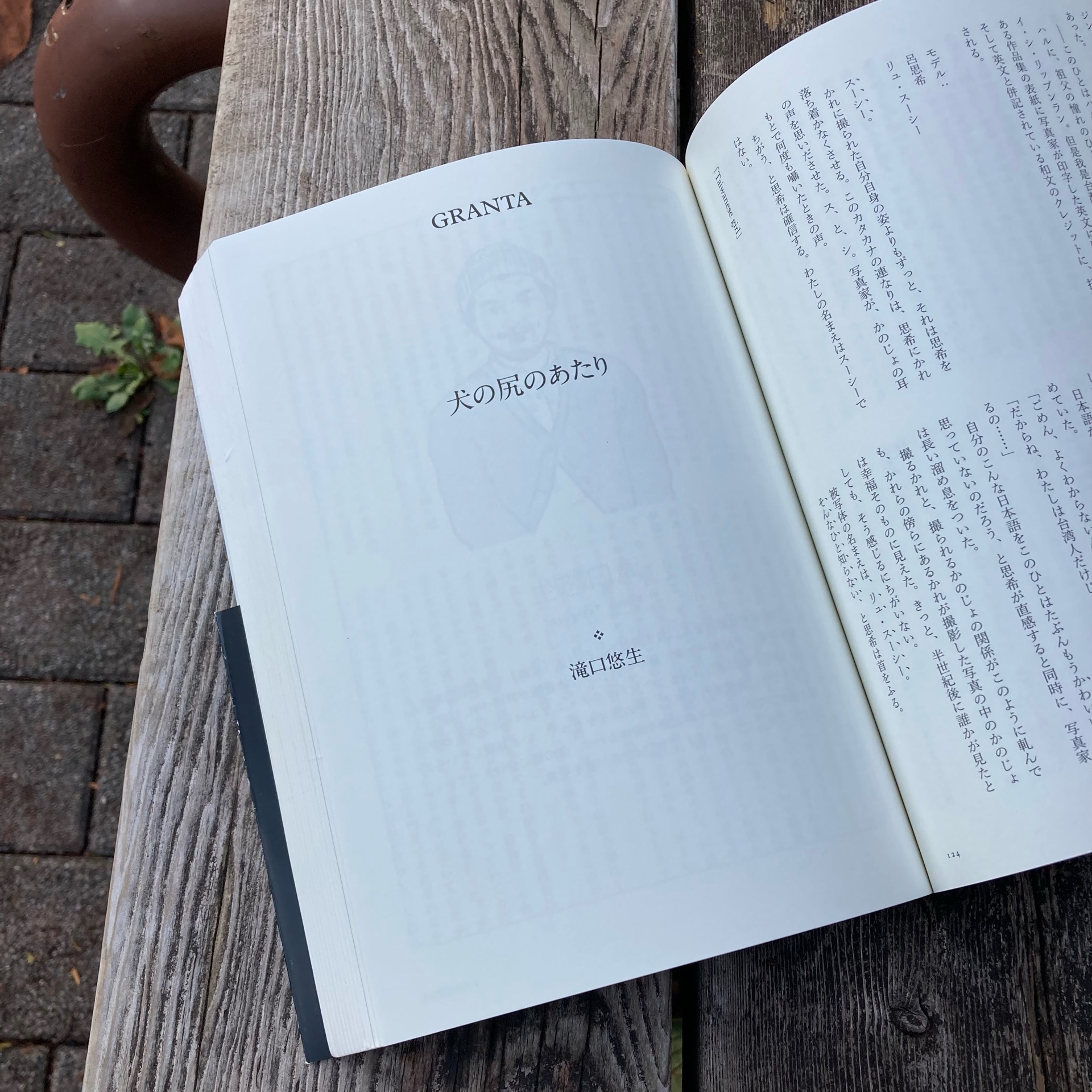 GRANTA JAPAN with 早稲田文学 03