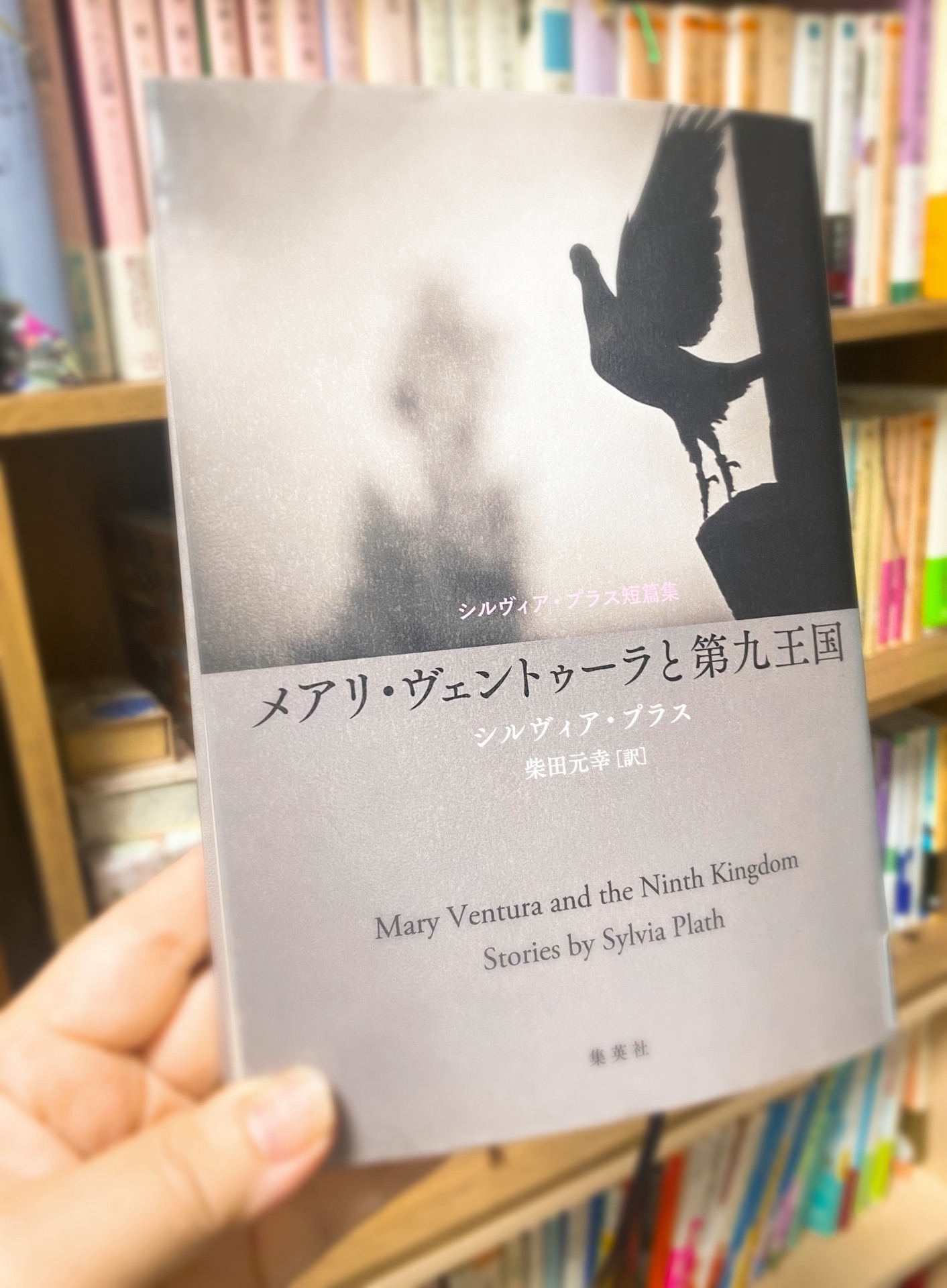 メアリ・ヴェントゥーラと第九王国 シルヴィア・プラス短篇集