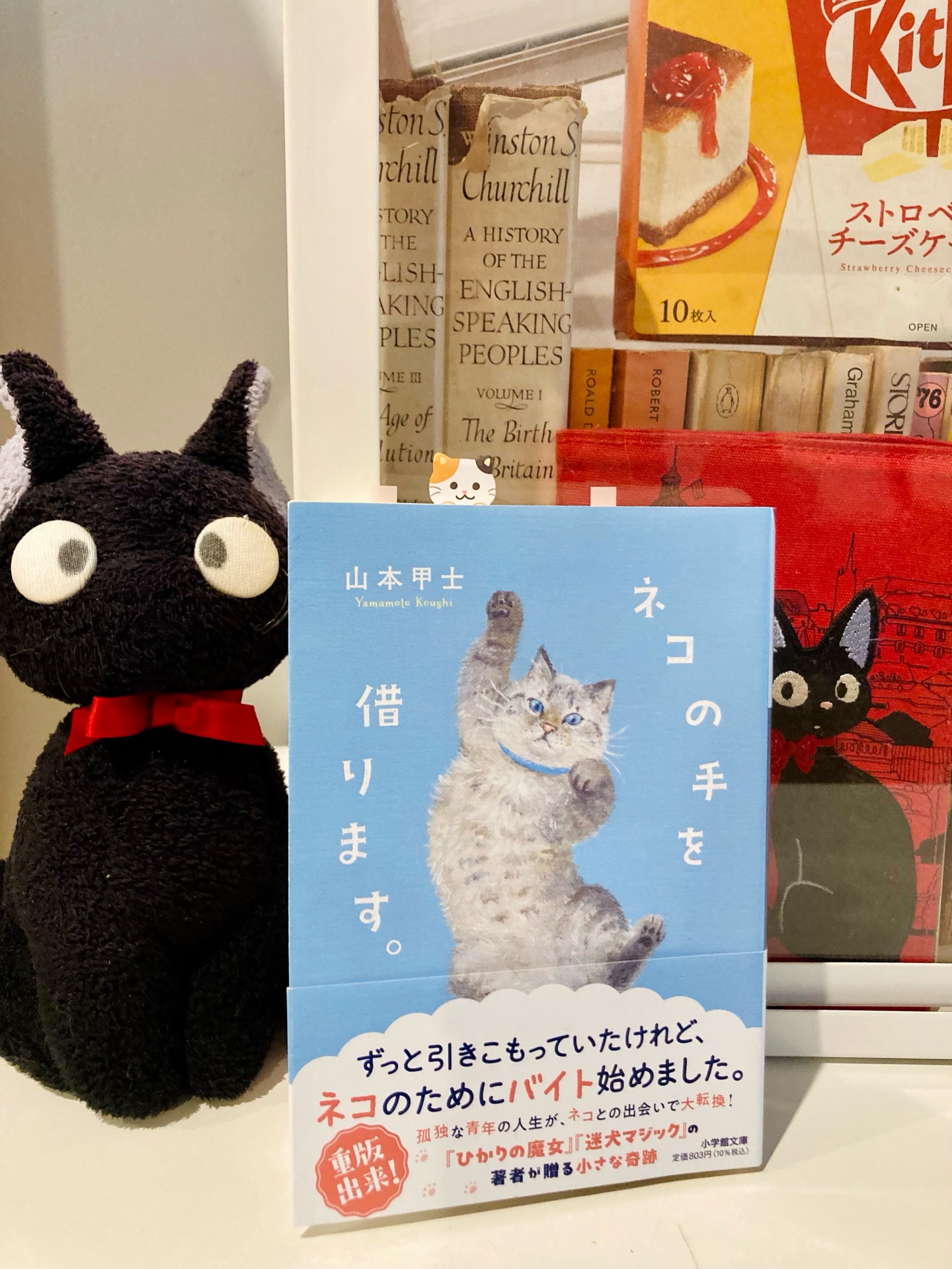 ネコの手を借ります。