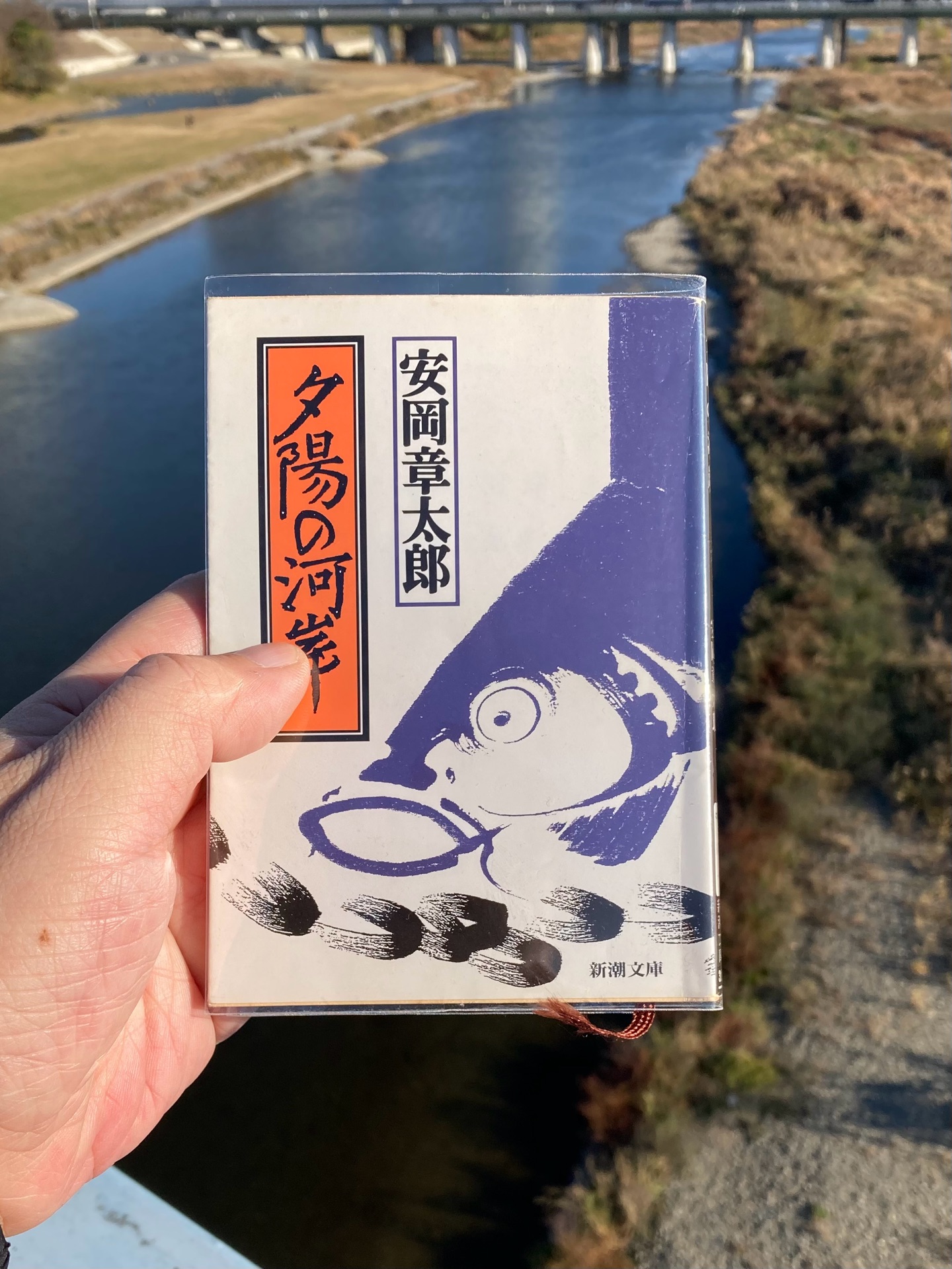 夕陽の河岸(新潮文庫)