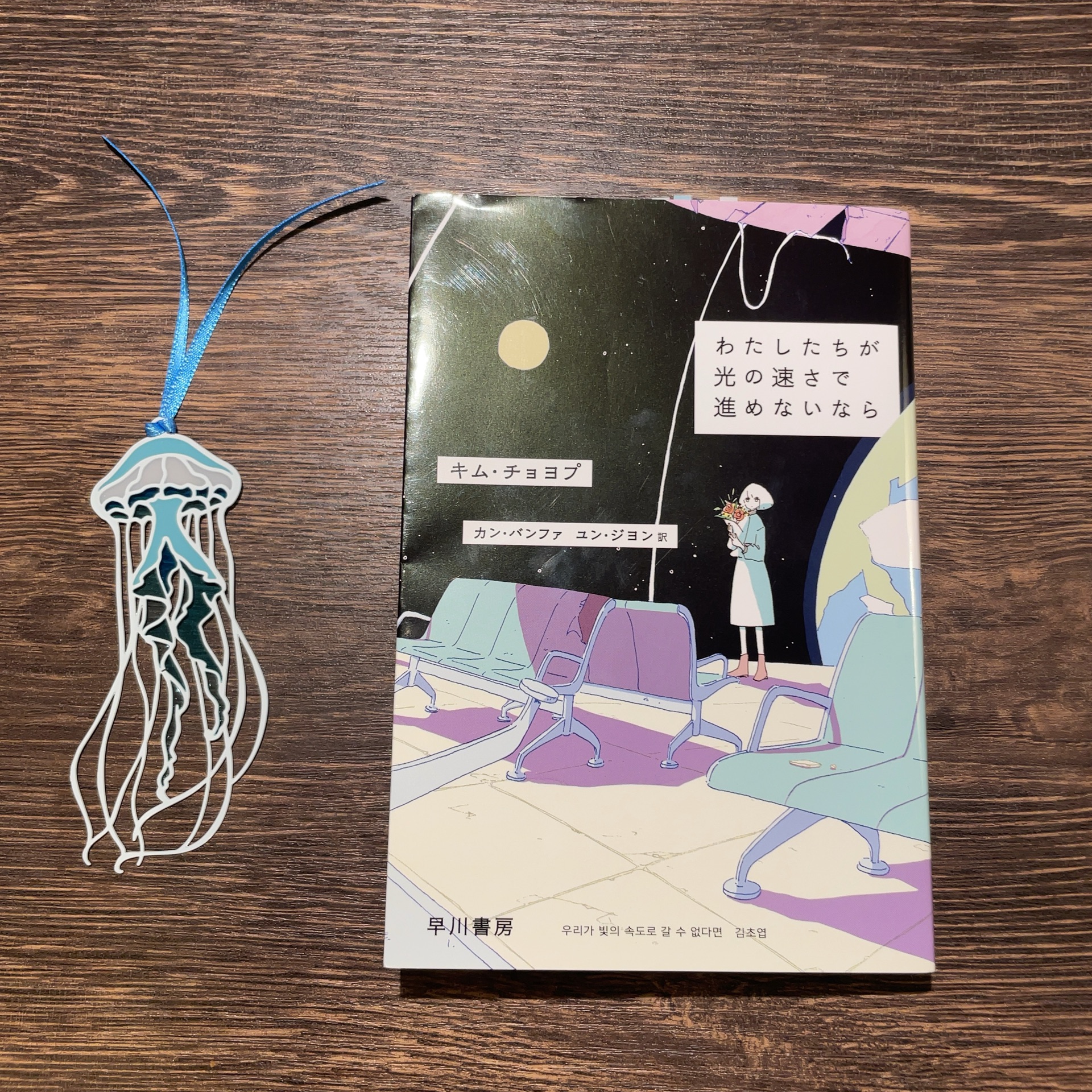 わたしたちが光の速さで進めないなら