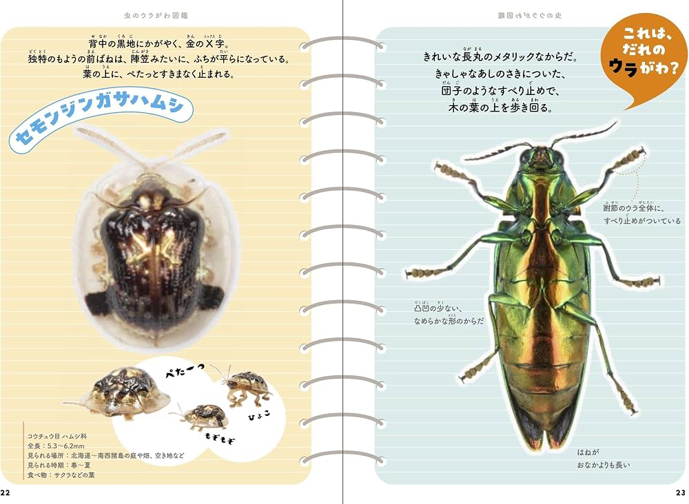 虫のウラがわ図鑑
