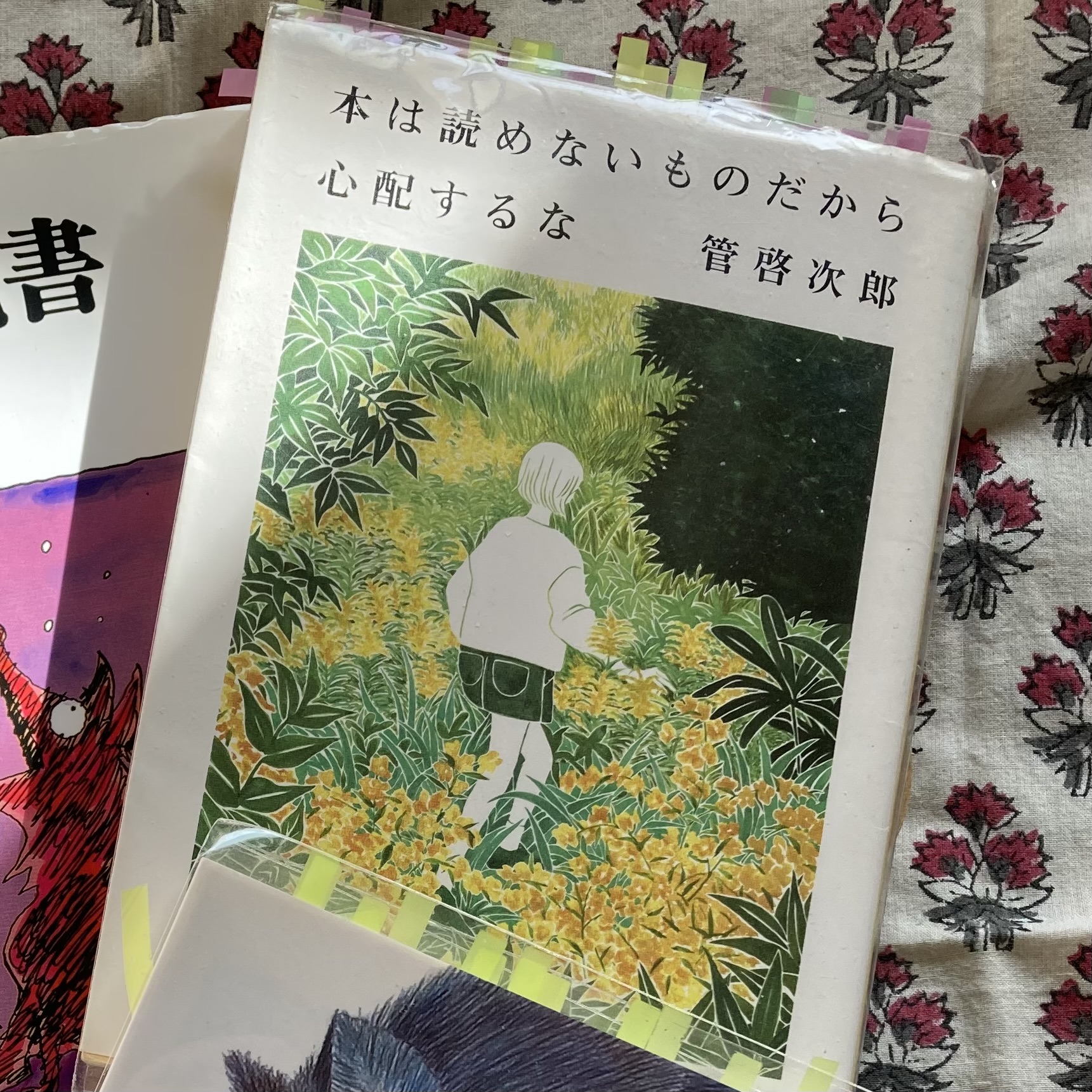 本は読めないものだから心配するな