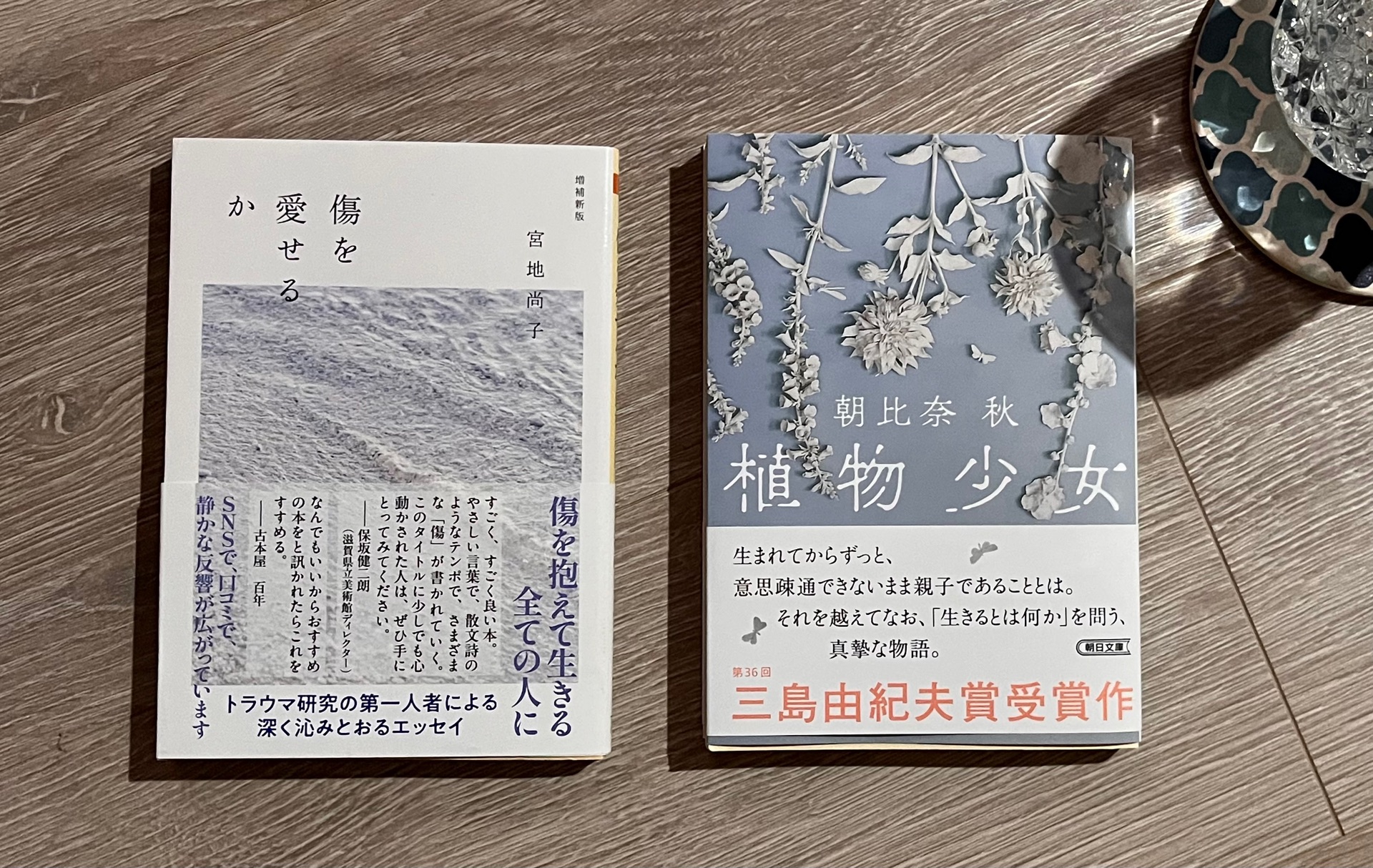 傷を愛せるか　増補新版
