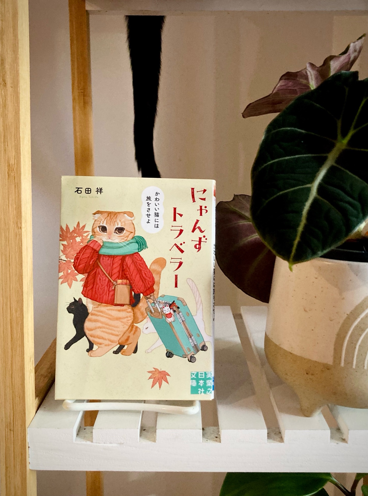 にゃんずトラベラー　かわいい猫には旅をさせよ