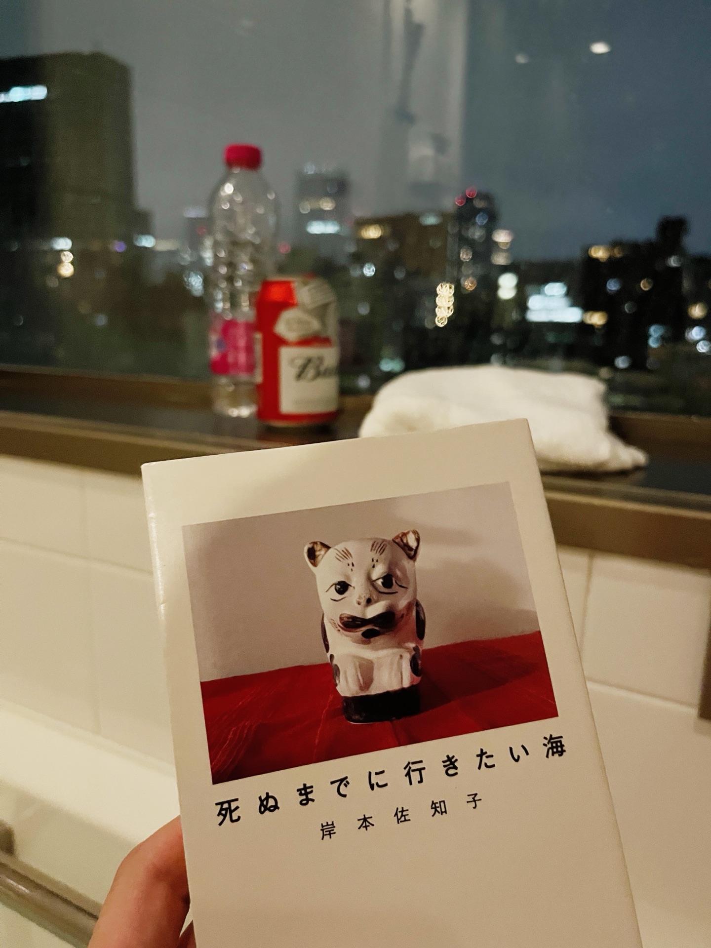 死ぬまでに行きたい海