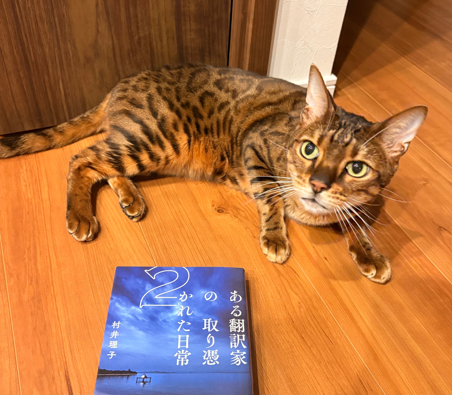 ある翻訳家の取り憑かれた日常2
