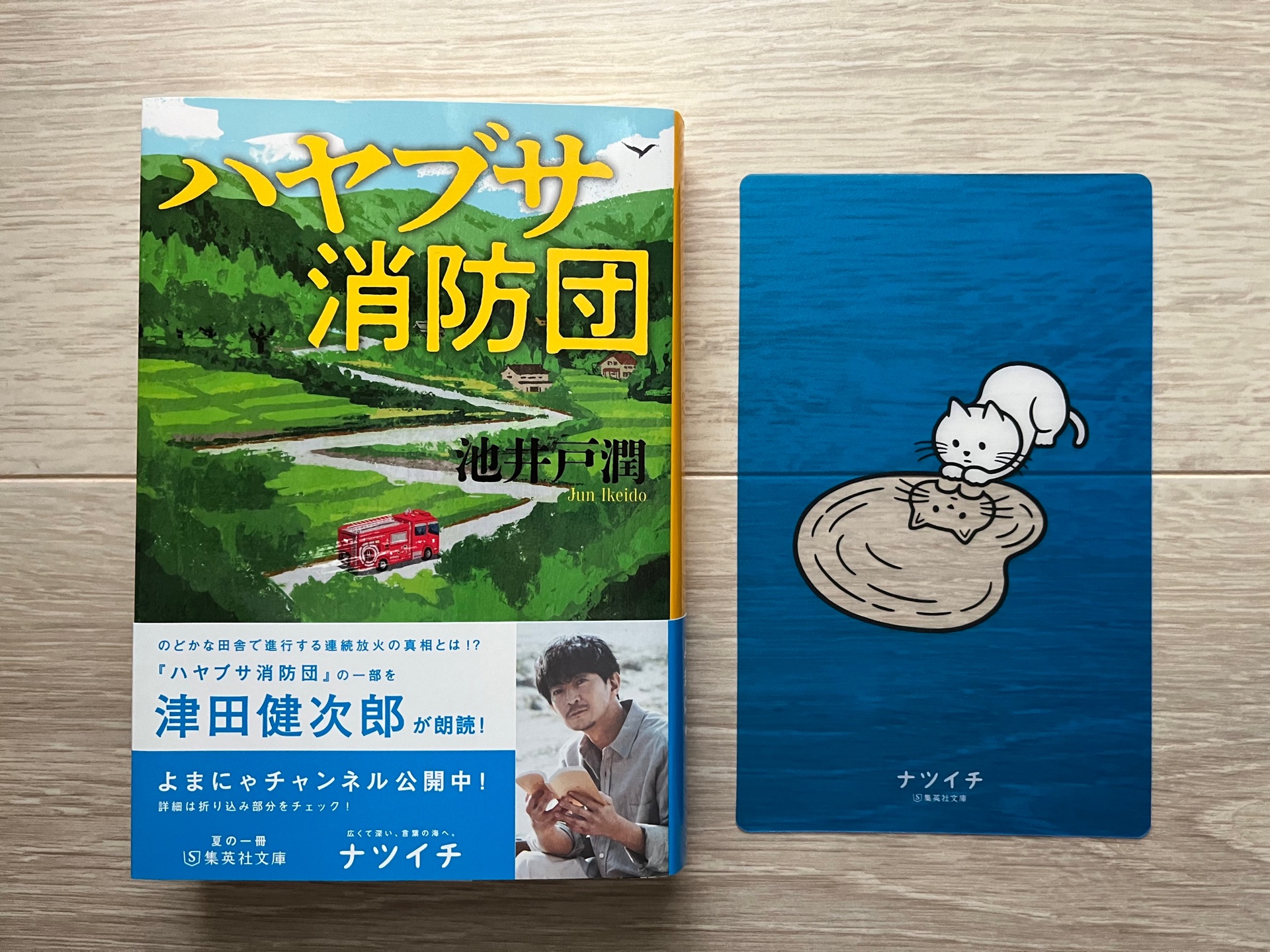 ハヤブサ消防団