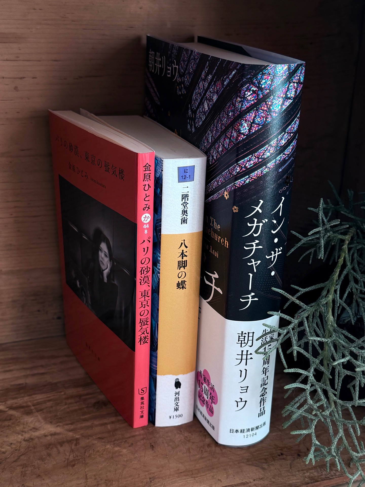 イン・ザ・メガチャーチ