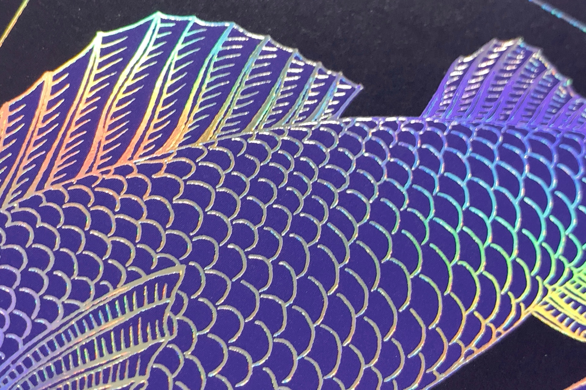 魚が存在しない理由　世界一空恐ろしい生物分類の話