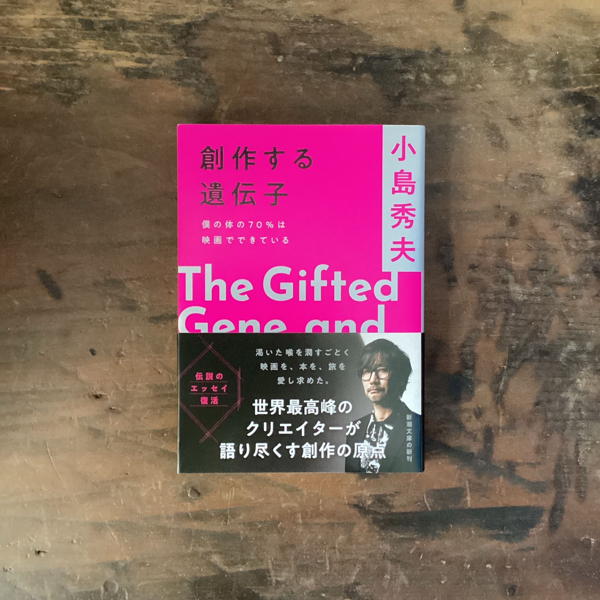 創作する遺伝子