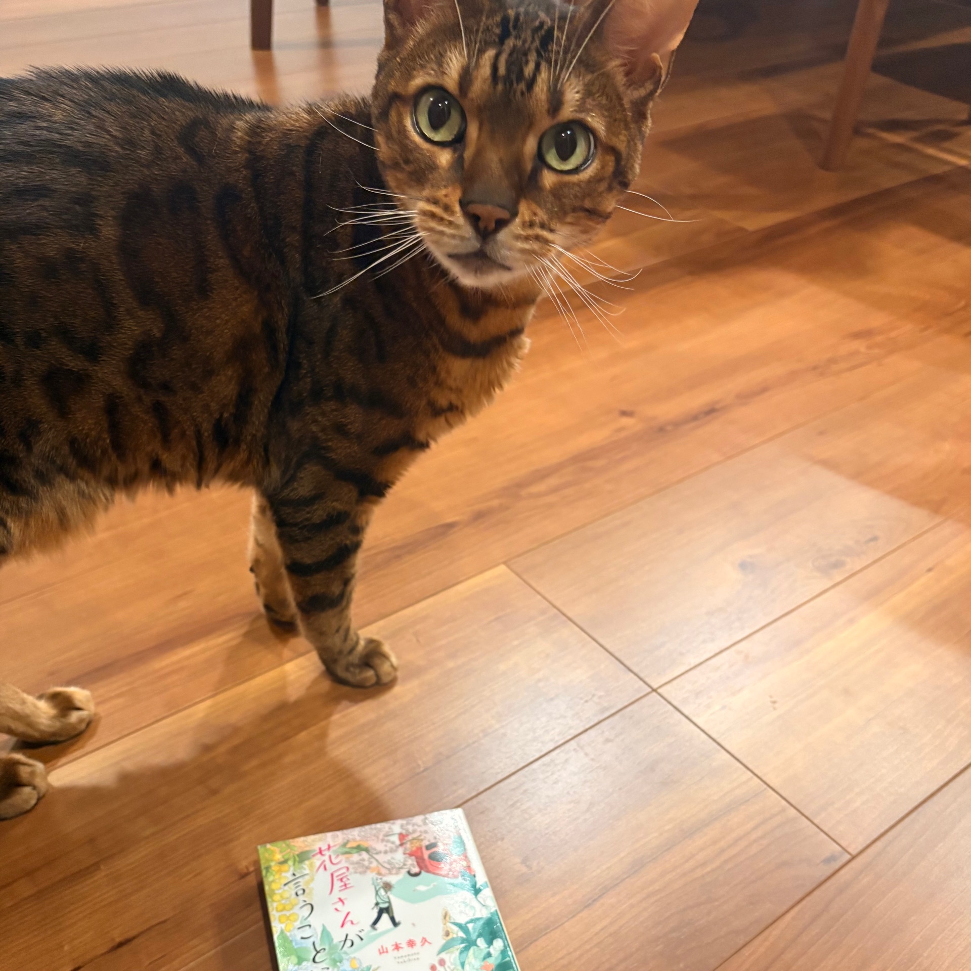 花屋さんが言うことには