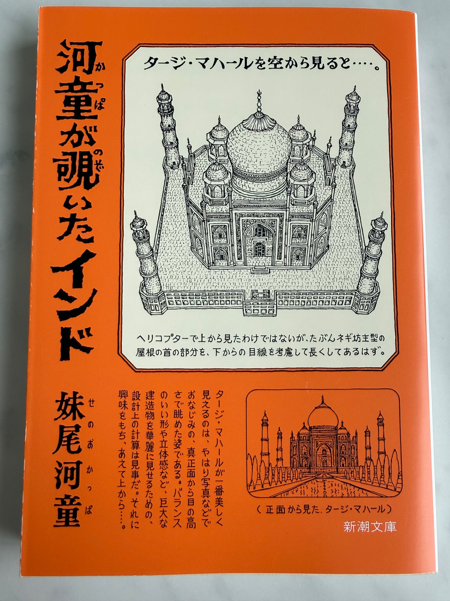 河童が覗いたインド