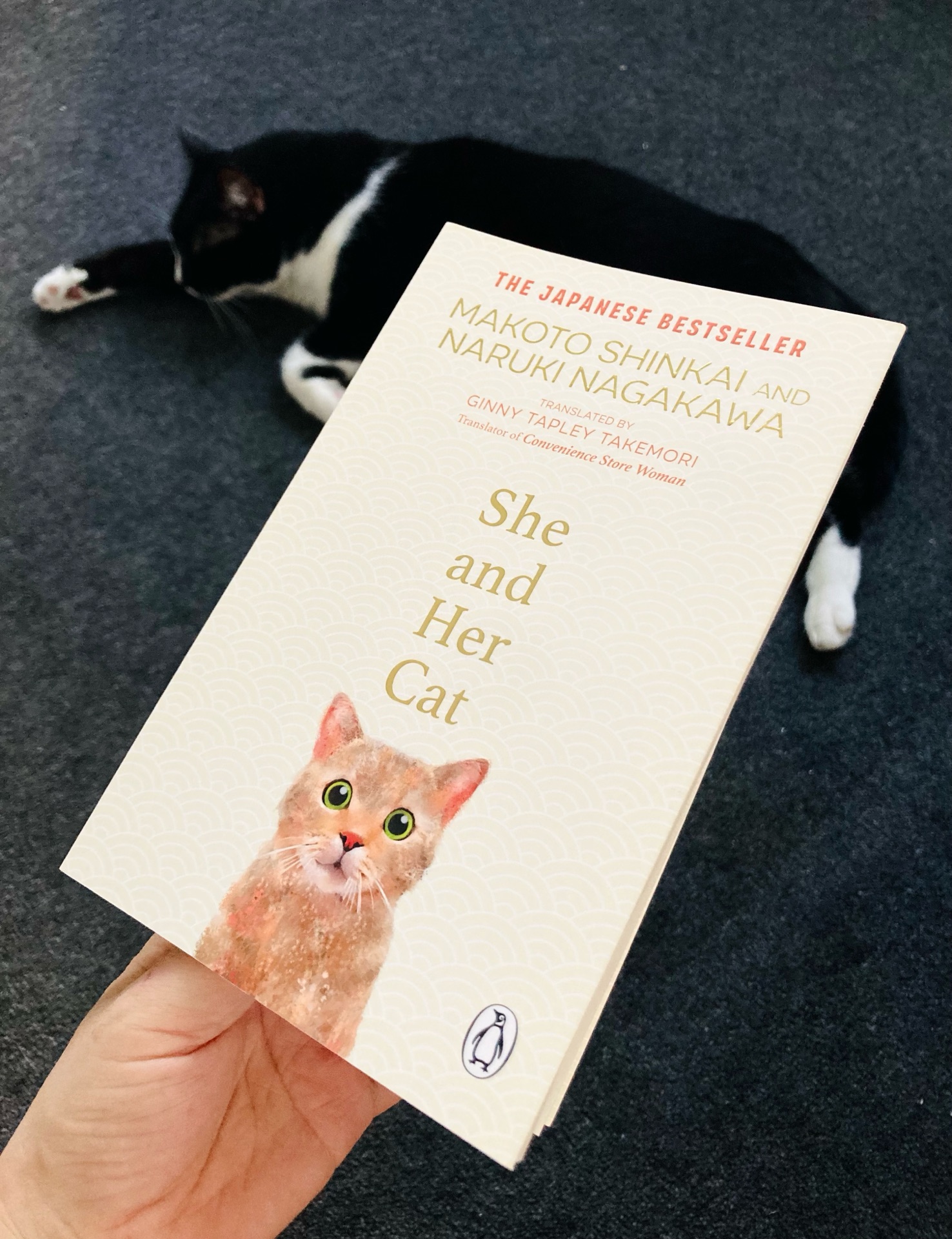 She and her Cat: for fans of Travelling Cat Chronicles and Convenience Store Woman