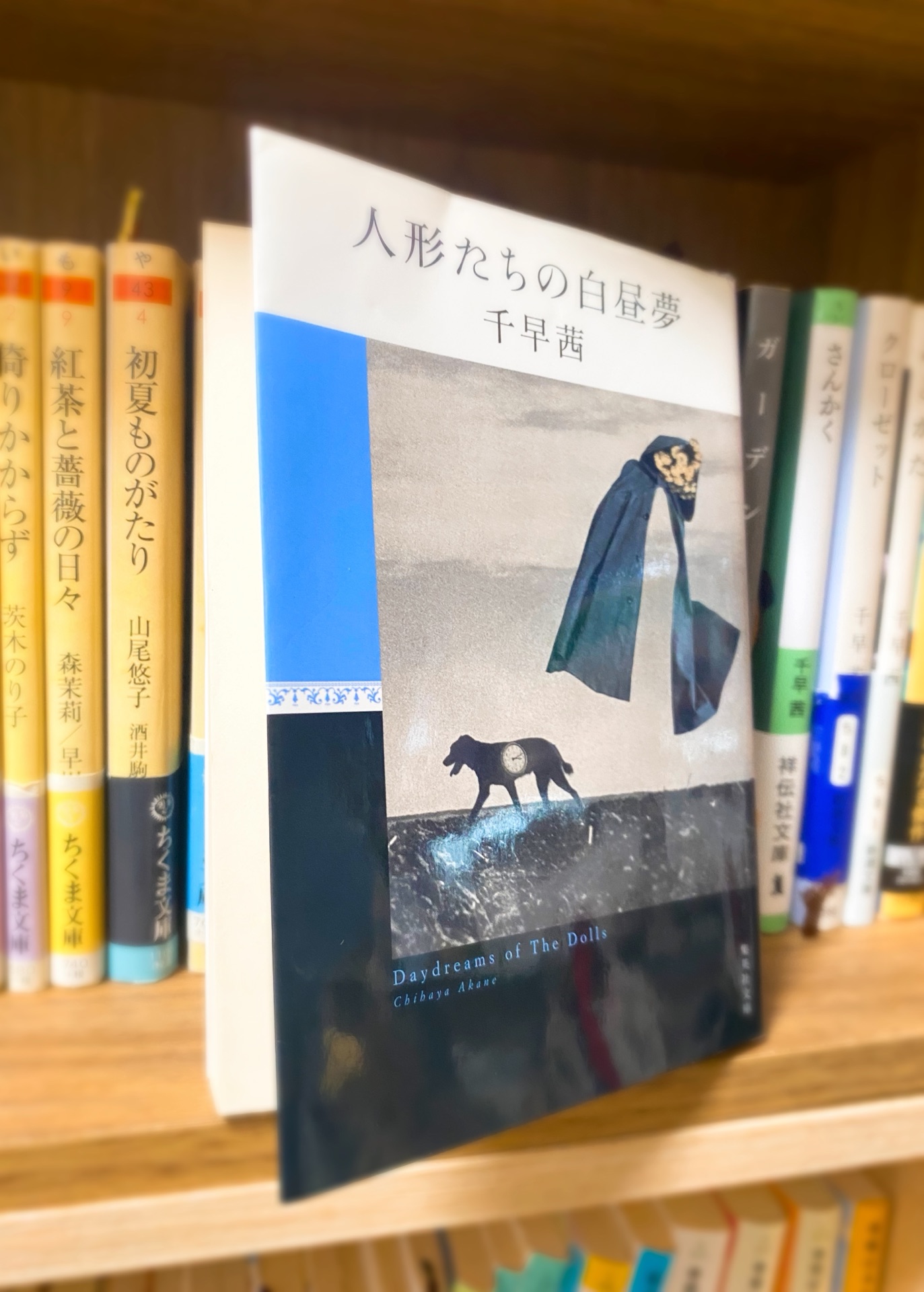 人形たちの白昼夢