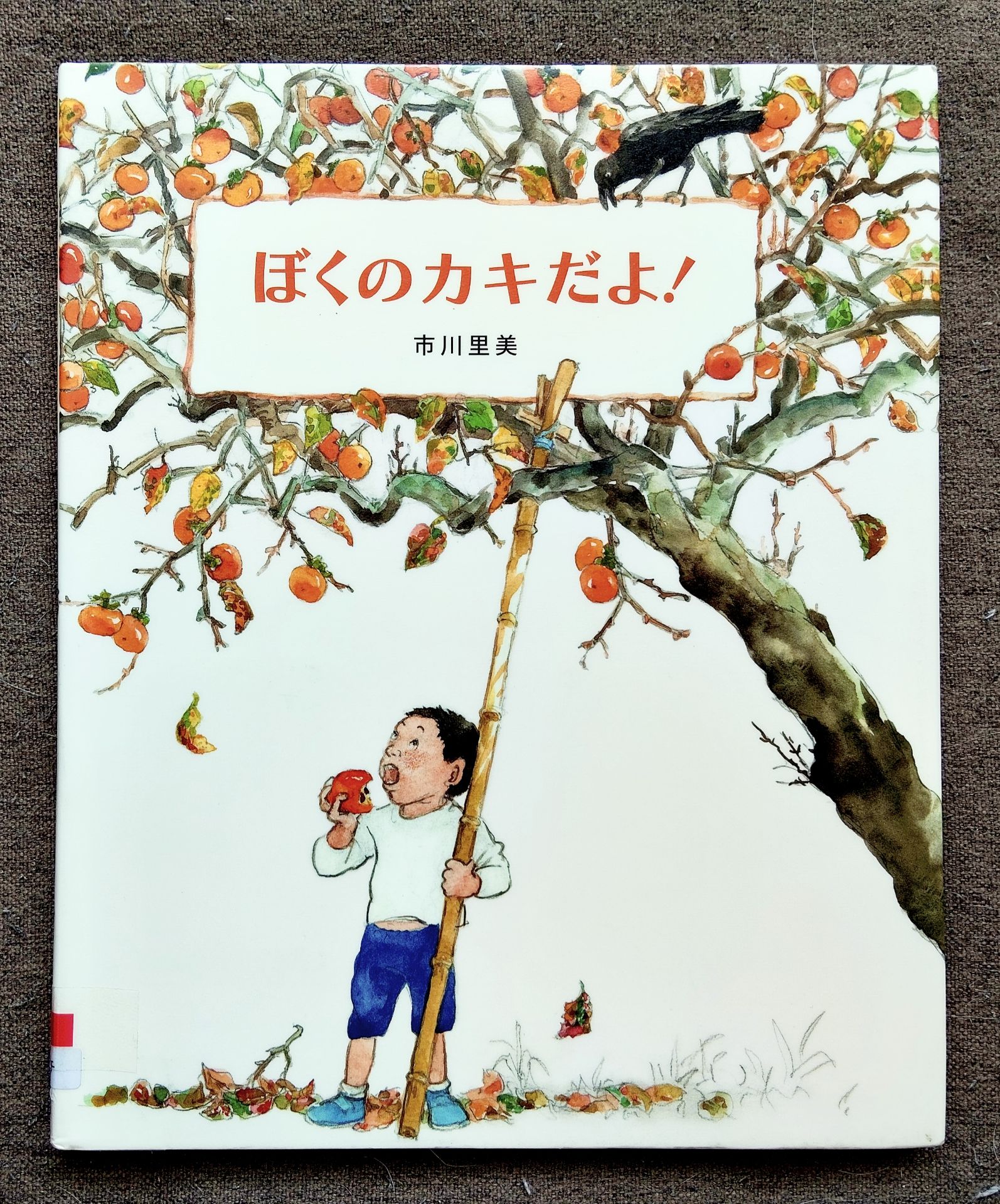 ぼくのカキだよ!