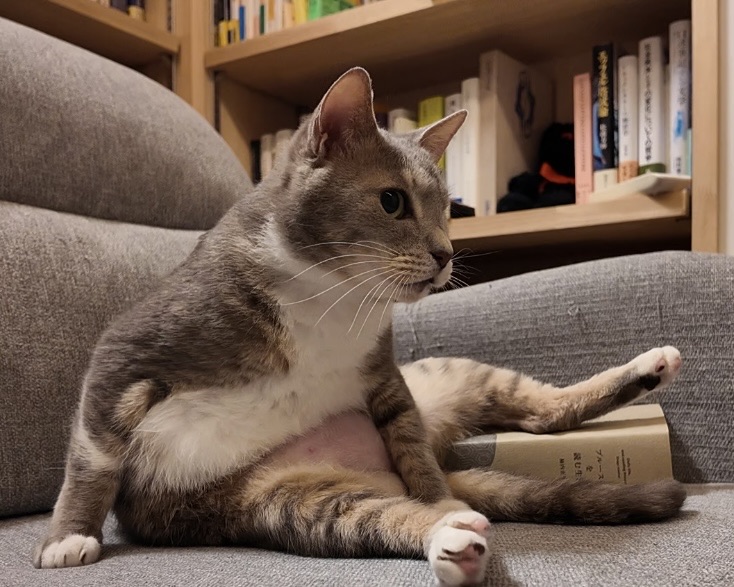 プルーストを読む生活