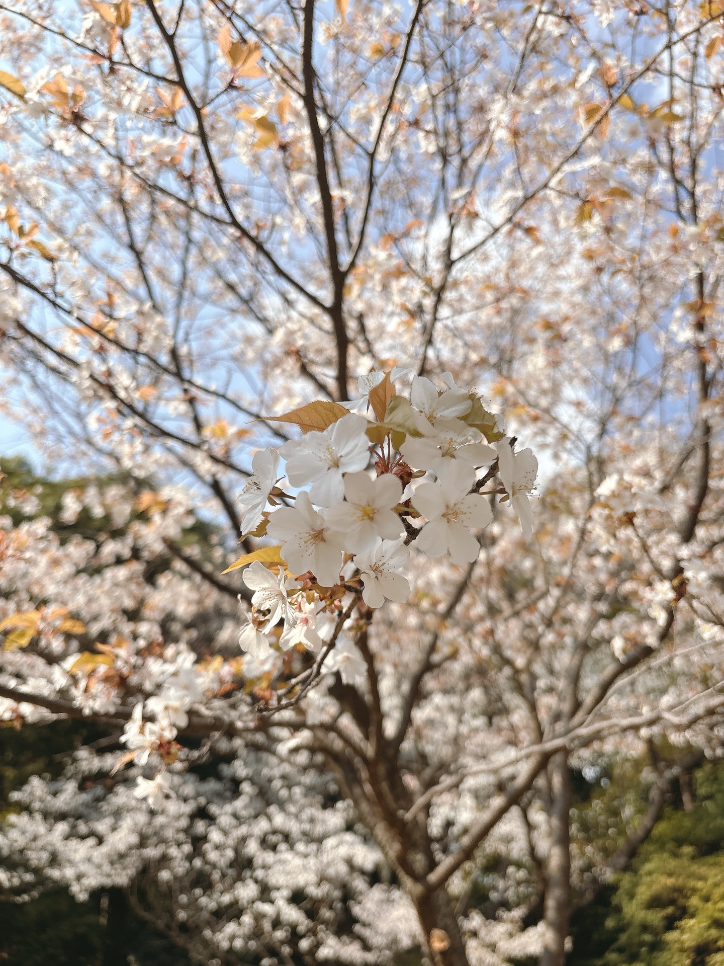 人づきあいはコスパで考えるとうまくいく