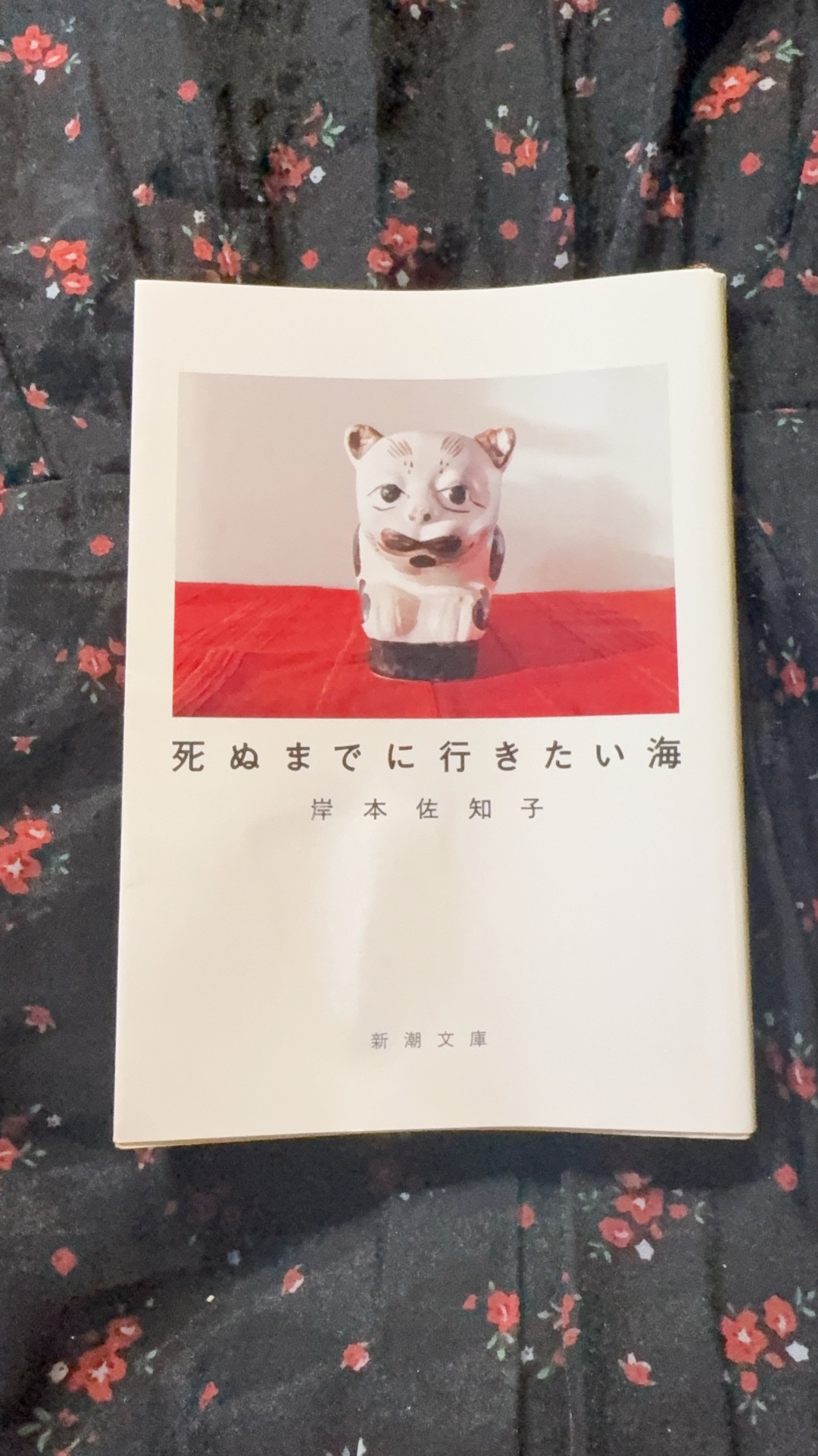 死ぬまでに行きたい海