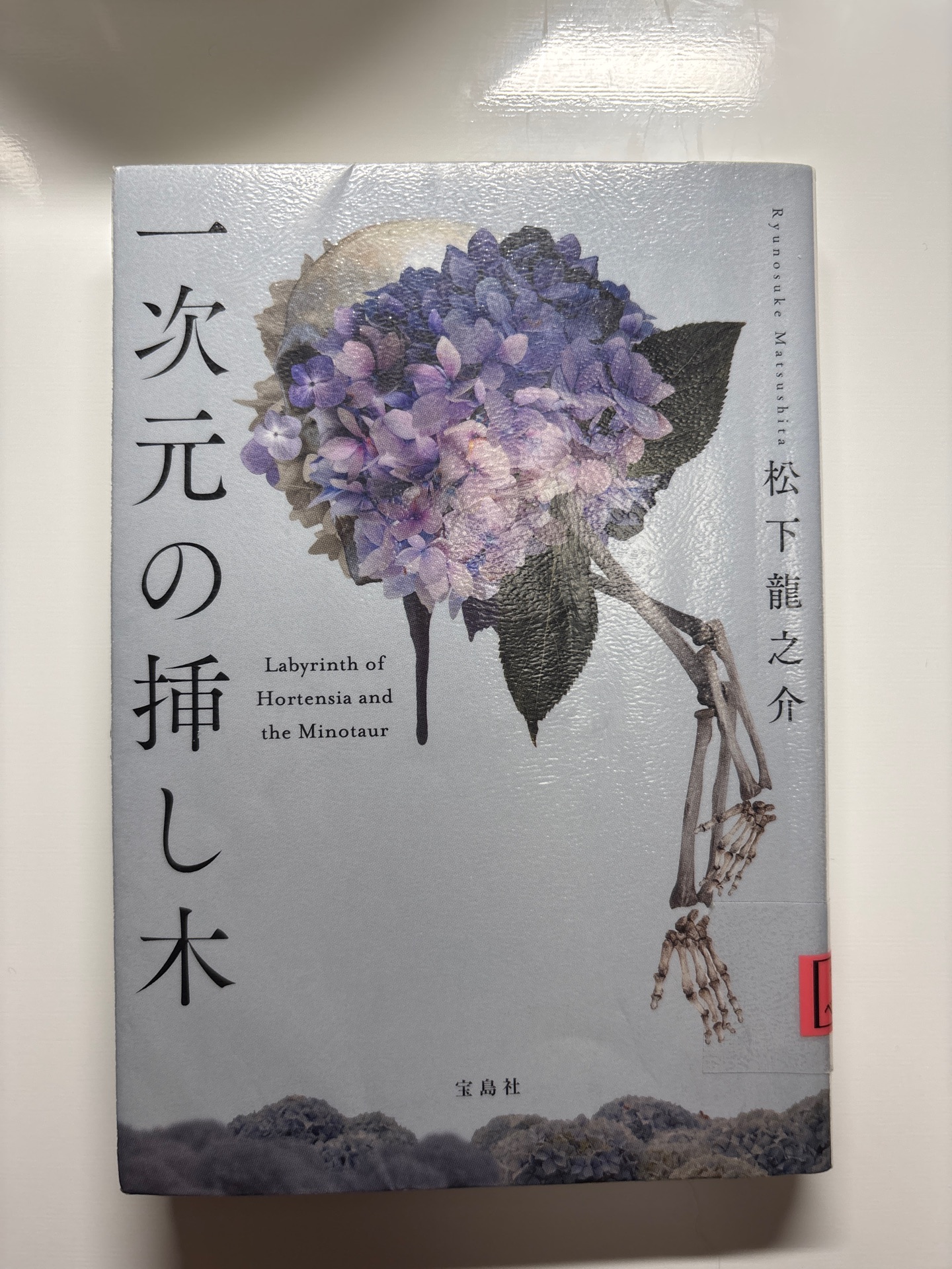 一次元の挿し木