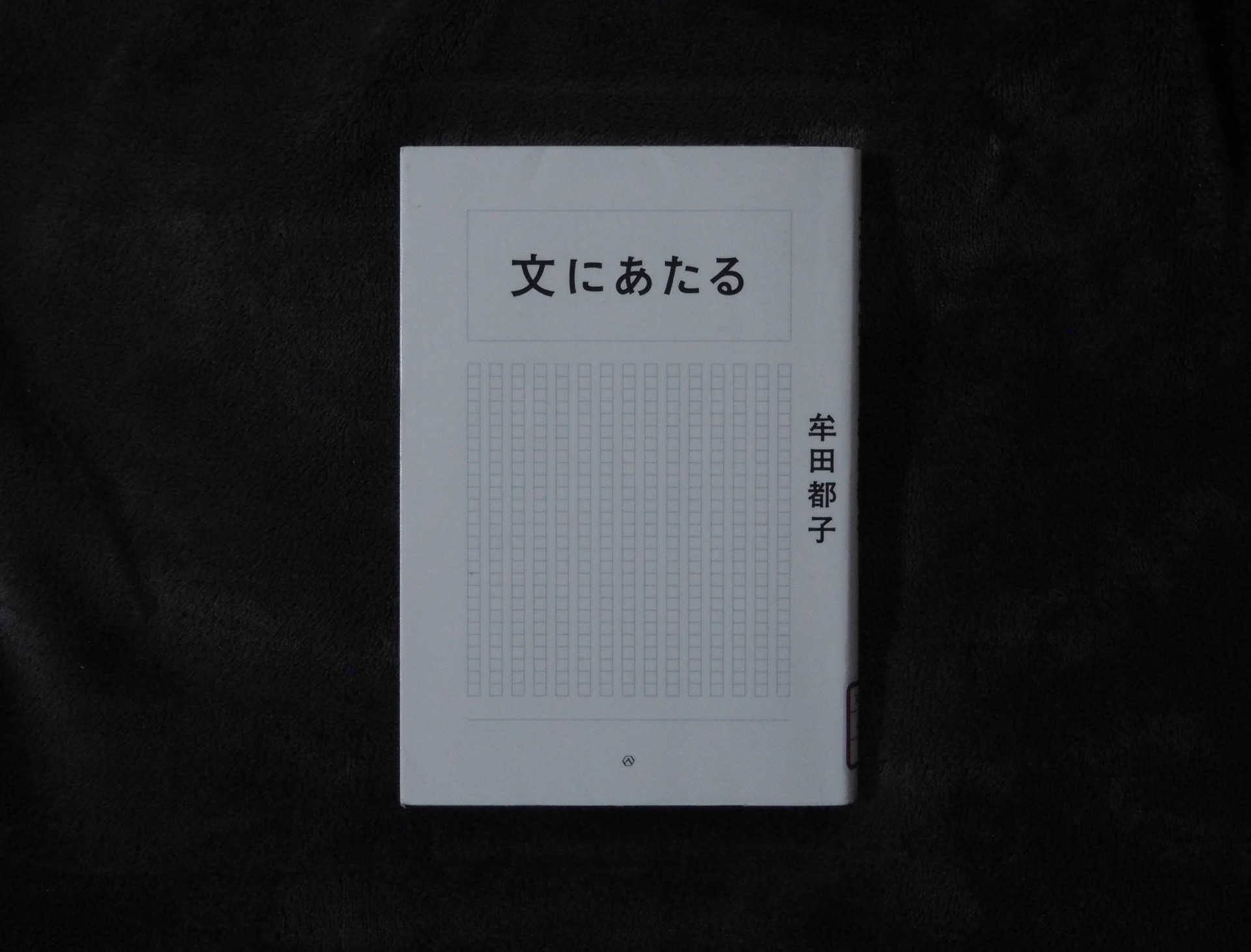 文にあたる
