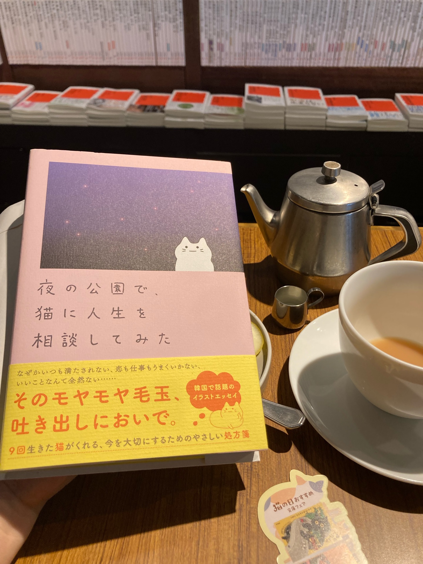 夜の公園で、猫に人生を相談してみた