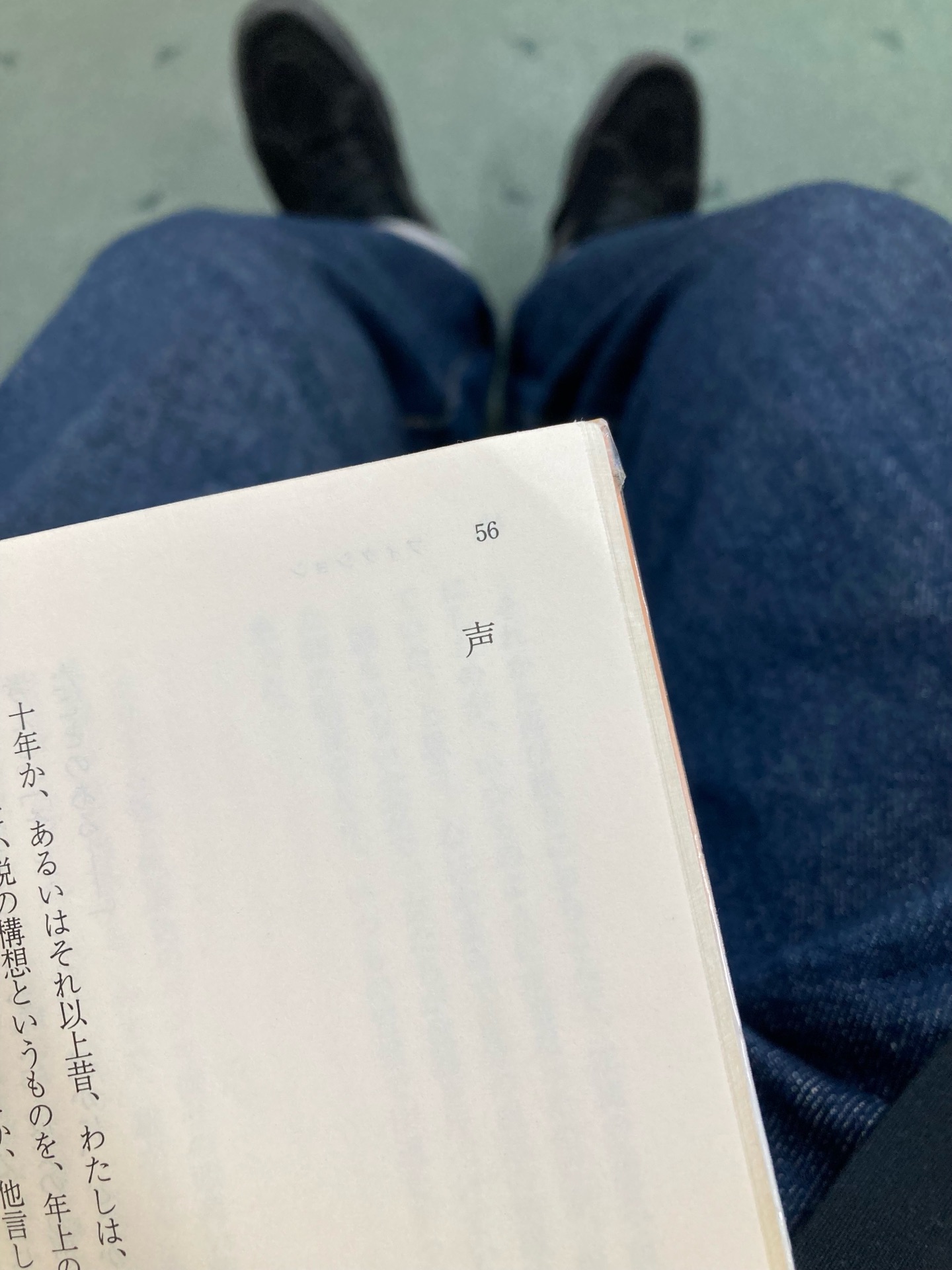 砂の粒/孤独な場所で 金井美恵子自選短篇集 (講談社文芸文庫)