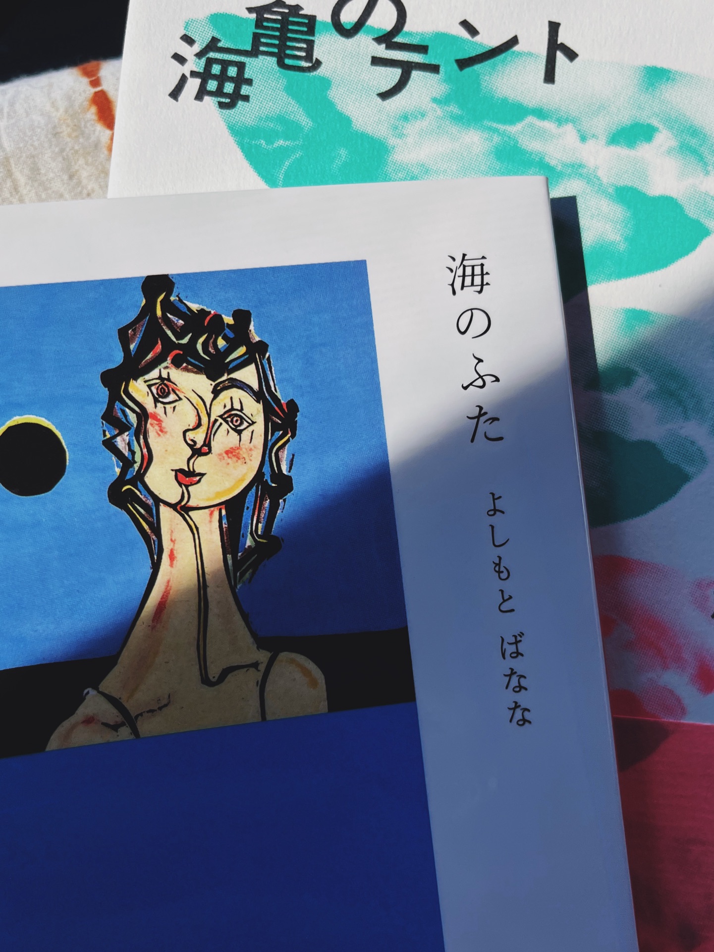 海のふた