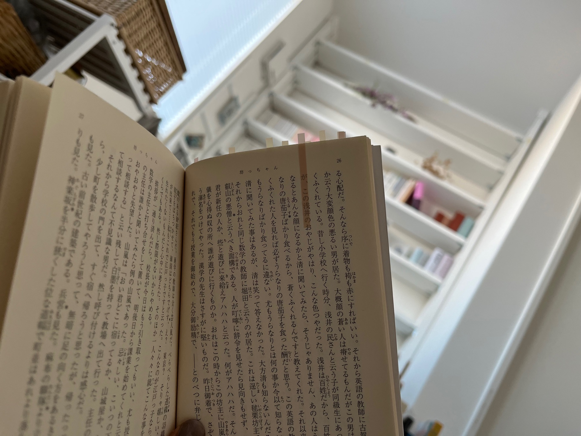坊っちゃん（新潮文庫）