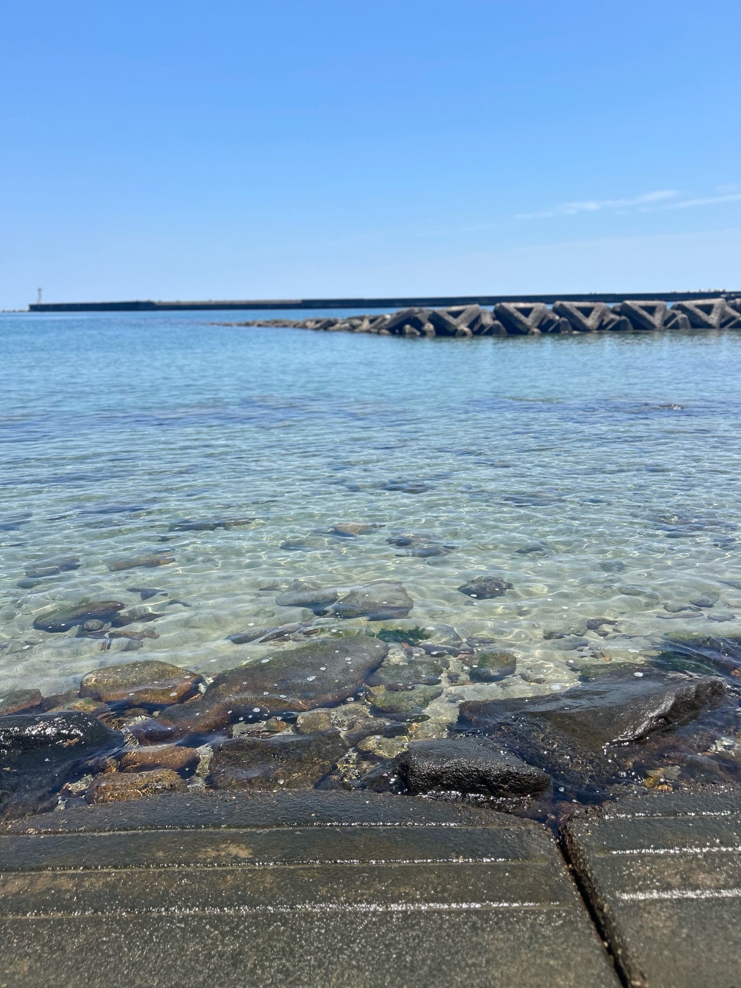 海のうた