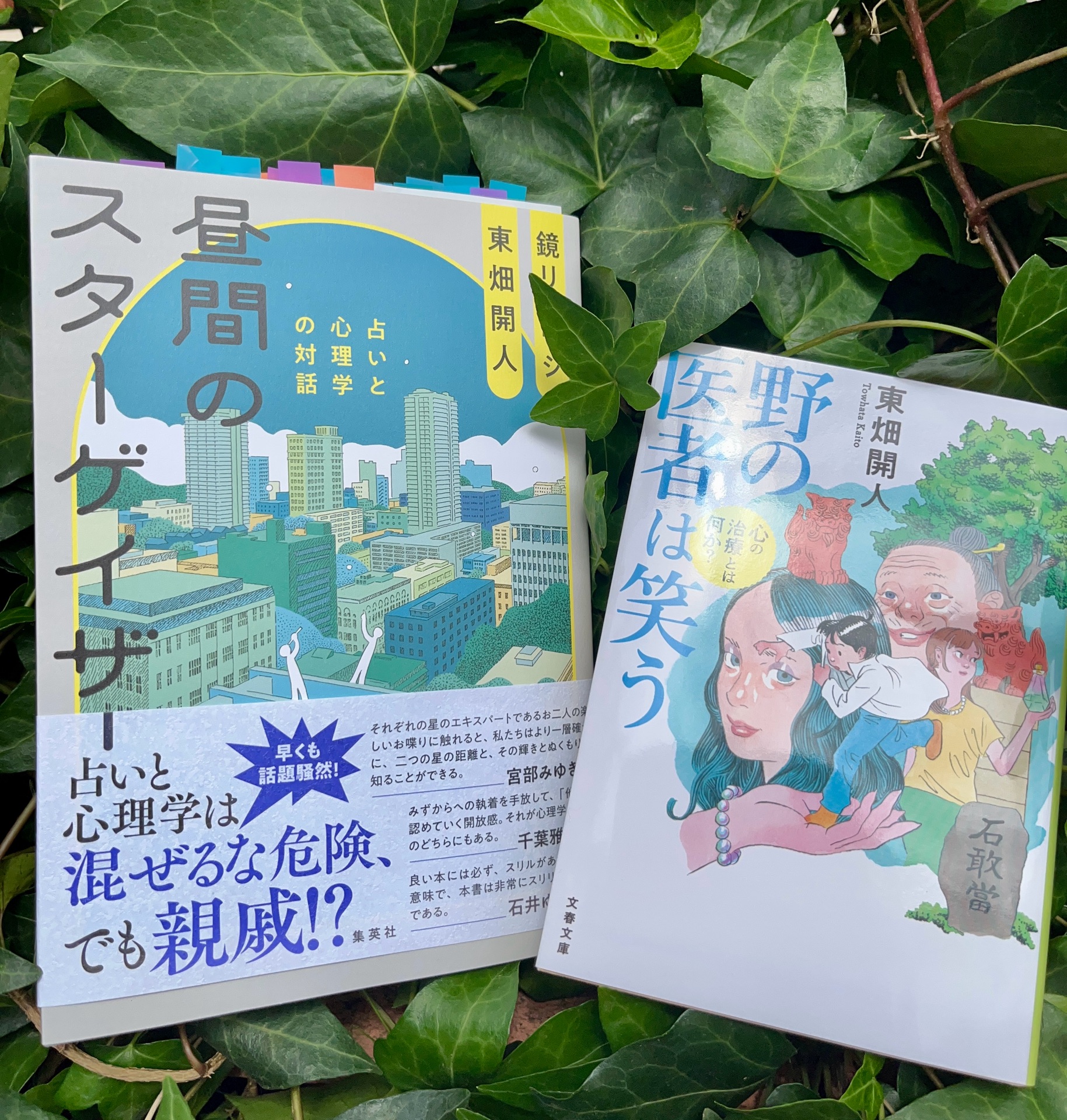 昼間のスターゲイザー 占いと心理学の対話