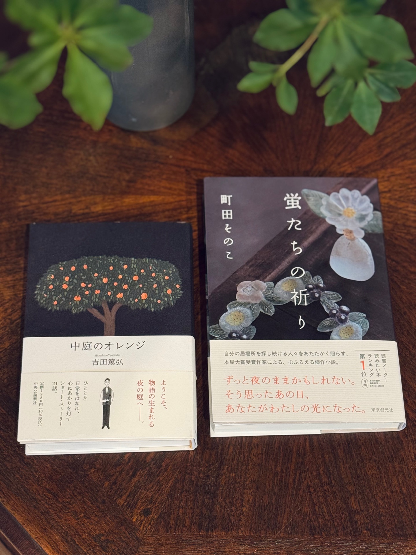 蛍たちの祈り