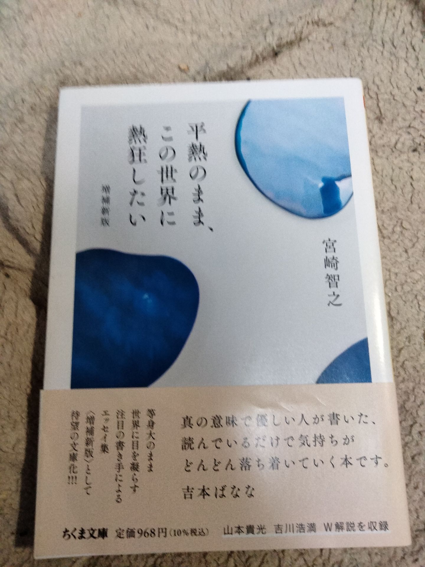精選日本随筆選集 孤独