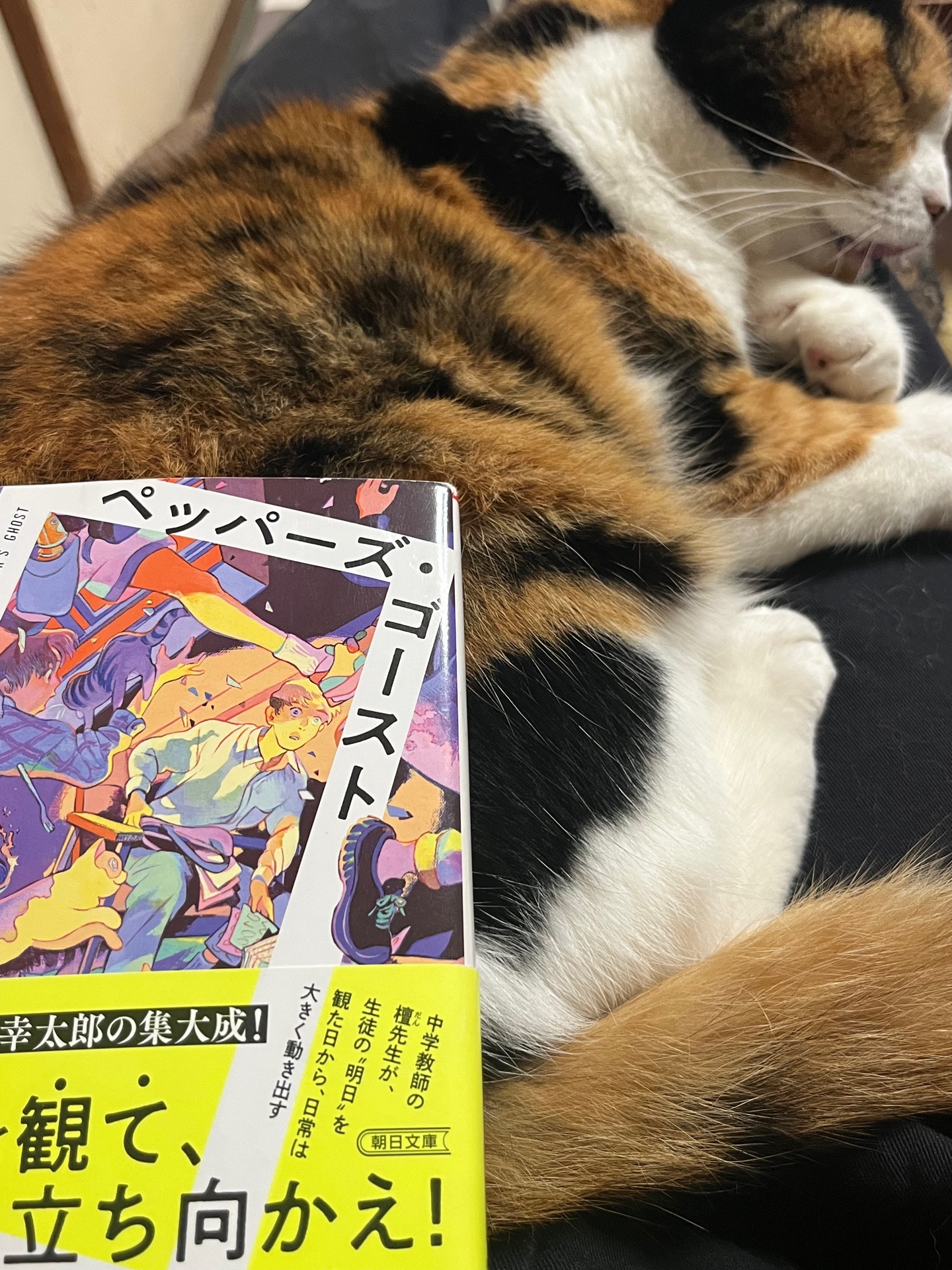 ペッパーズ・ゴースト