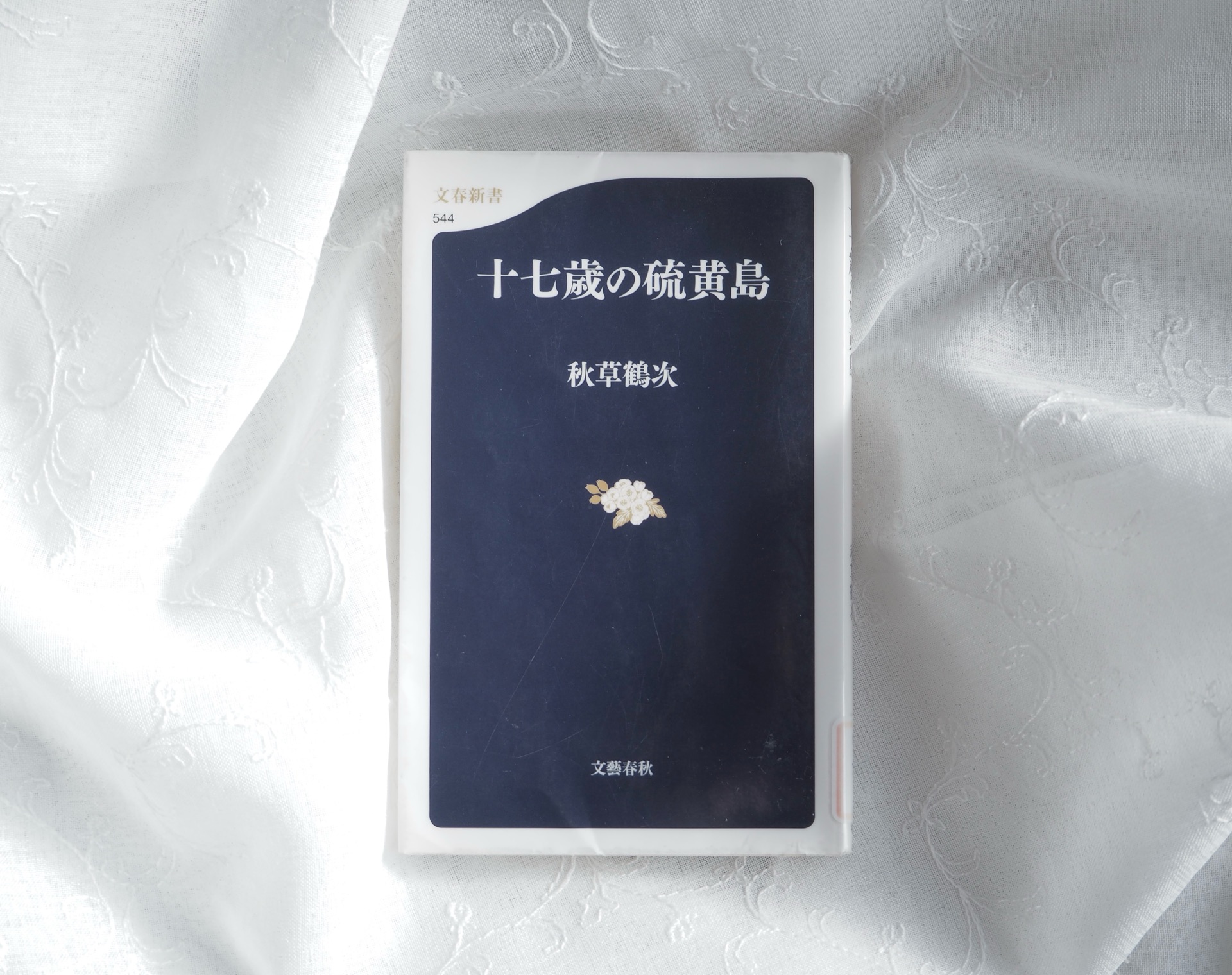 十七歳の硫黄島 (文春新書 544)