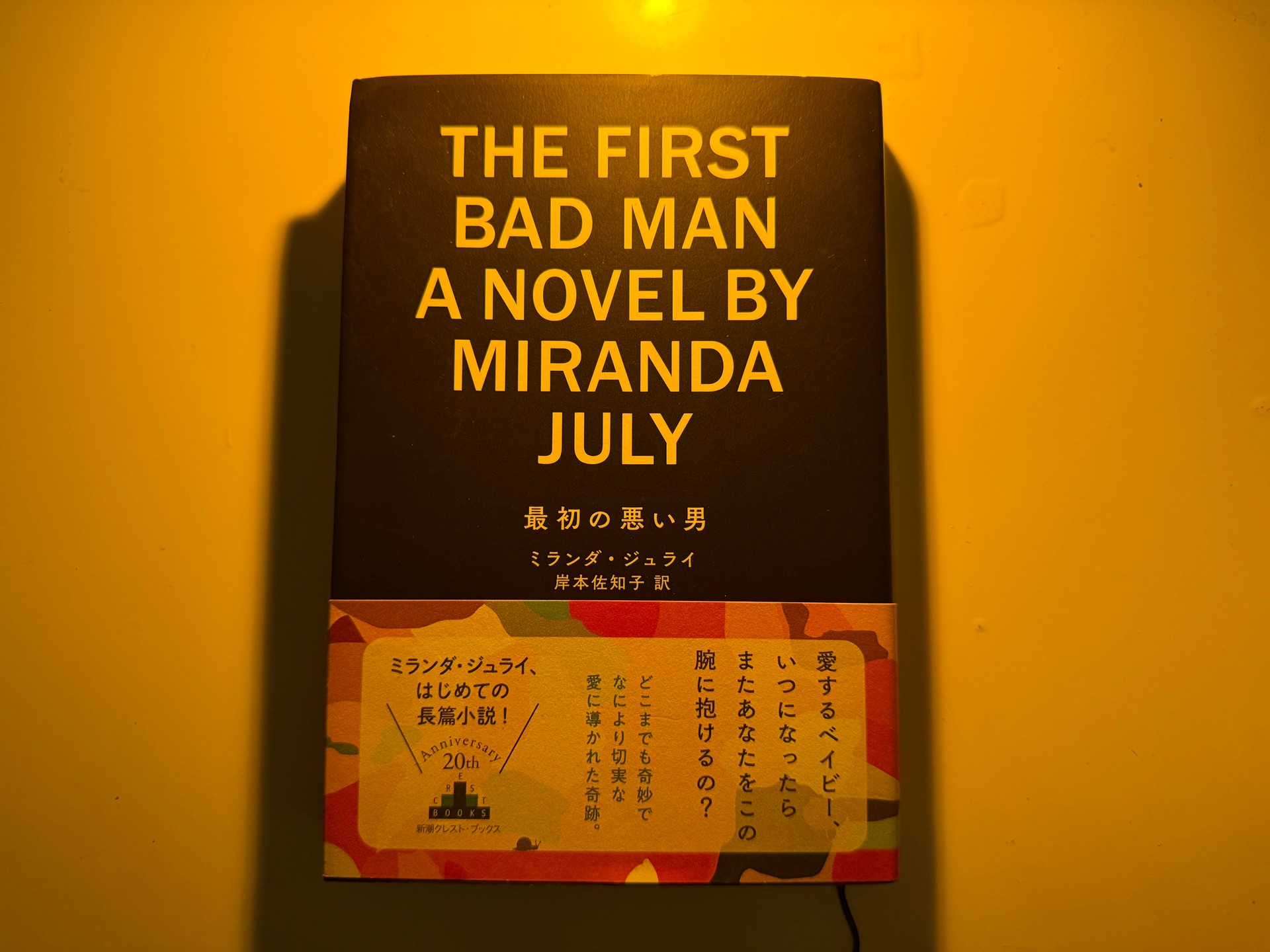 最初の悪い男 (Shinchosha CREST BOOKS)